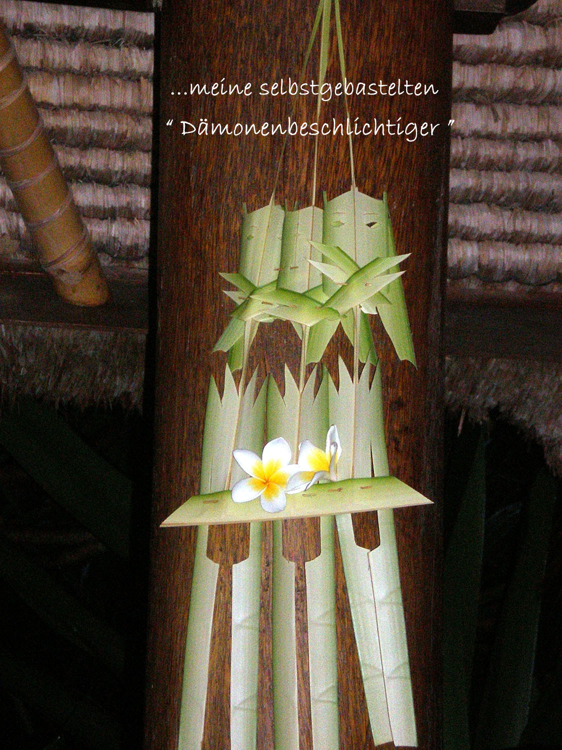Olympus FE190/X750 sample photo. Bali photography