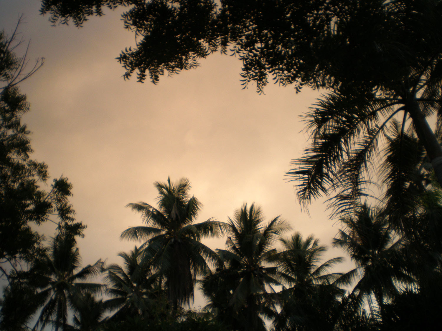 Olympus FE190/X750 sample photo. Bali photography