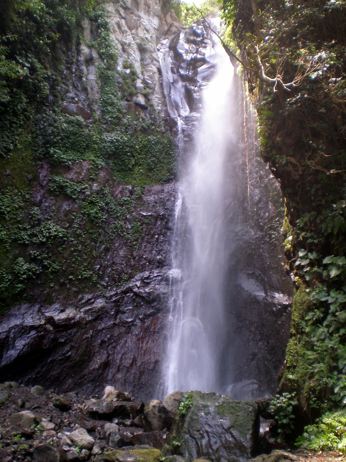 Olympus FE190/X750 sample photo. Bali photography