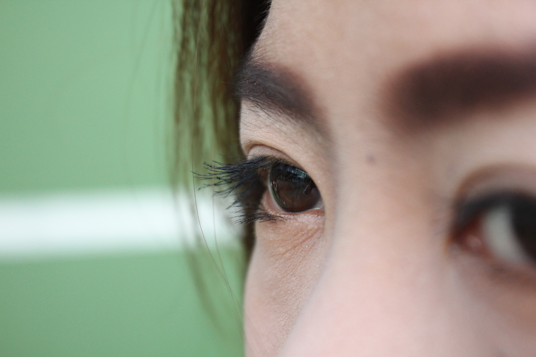 Canon EOS 550D (EOS Rebel T2i / EOS Kiss X4) sample photo. Img photography