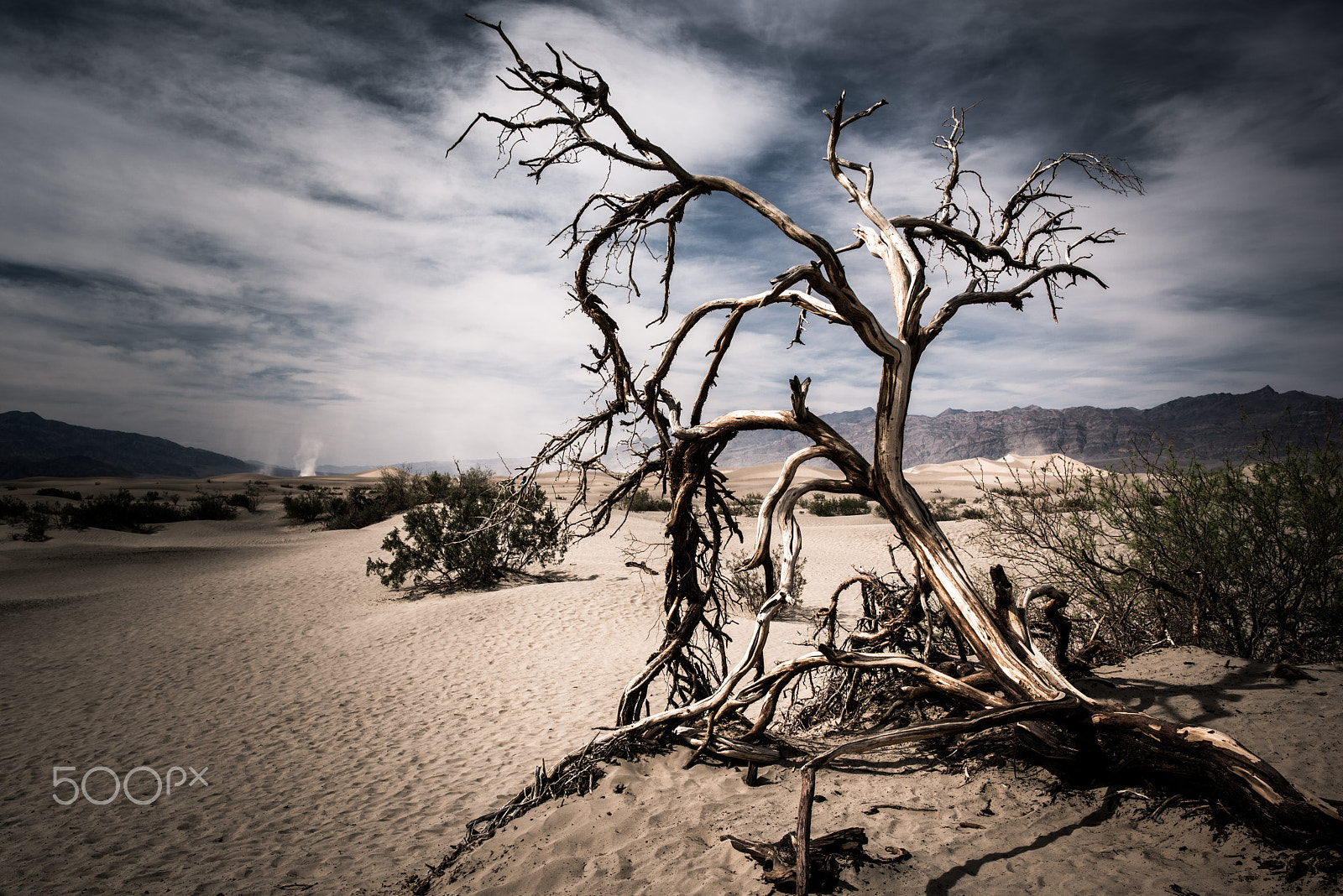 Nikon D810 + Nikon AF-S Nikkor 28mm F1.8G sample photo. Death valley photography