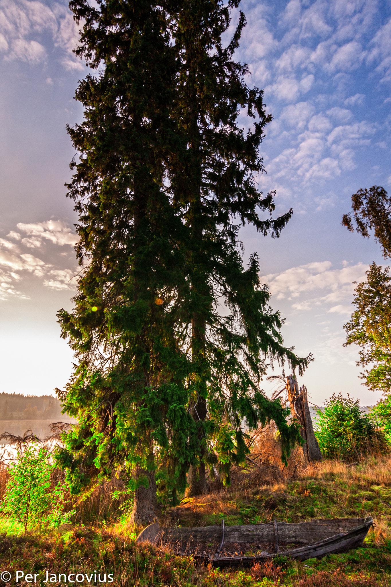 Tokina AT-X Pro 12-24mm F4 (IF) DX sample photo. Old and older photography