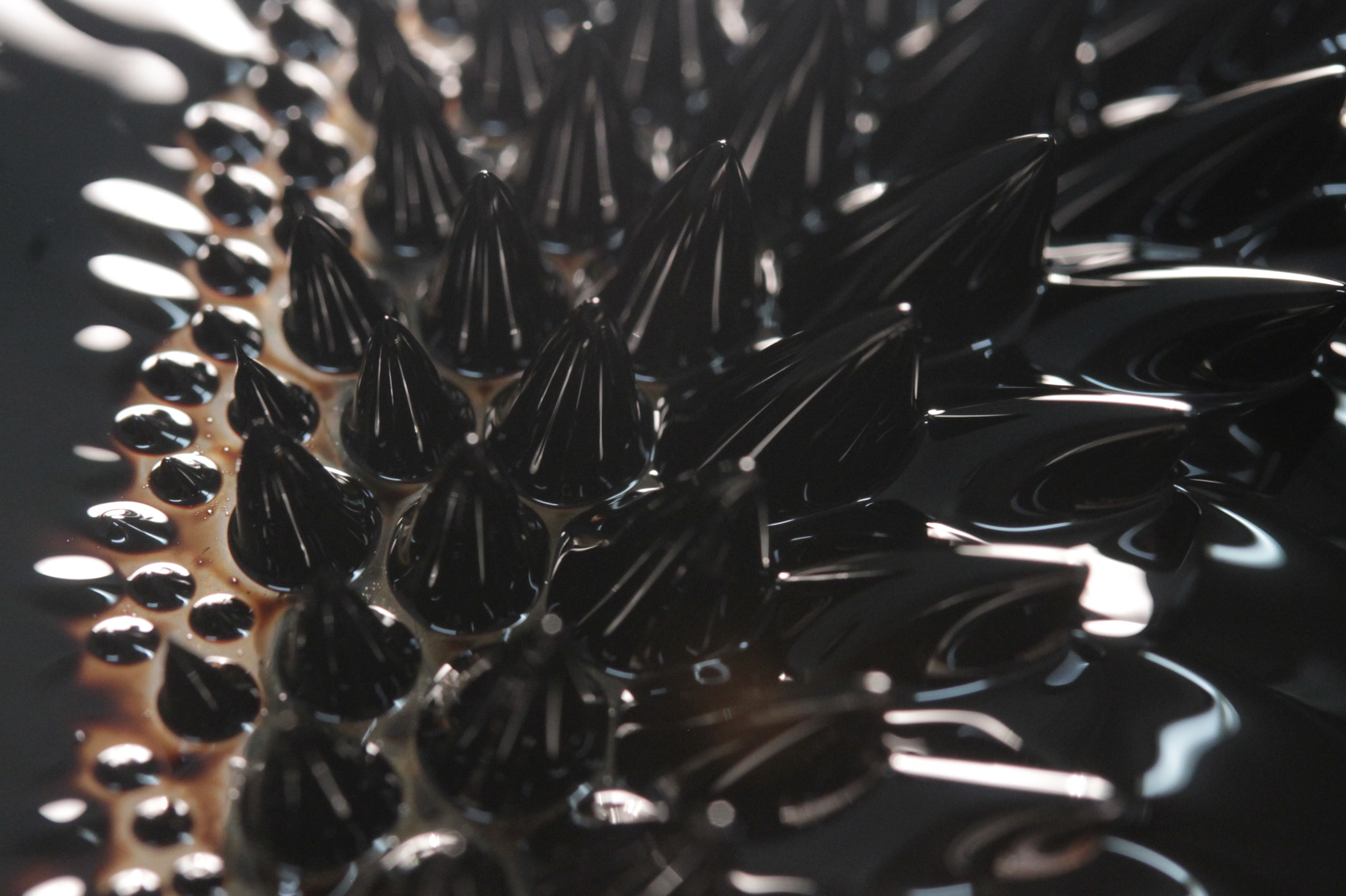 Canon EF-S 60mm F2.8 Macro USM sample photo. Coffee ferro photography