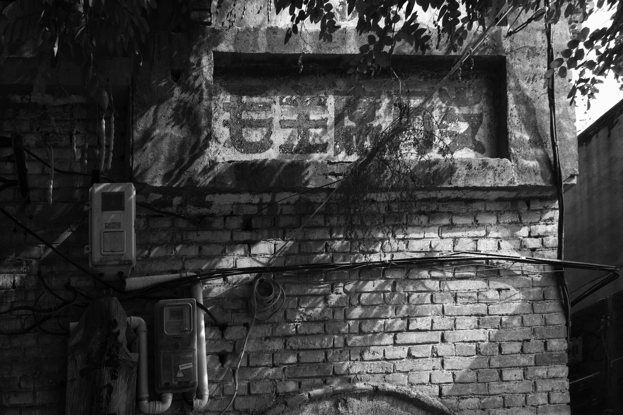 Leica Summicron-M 28mm F2 ASPH sample photo. Long live chairman mao photography