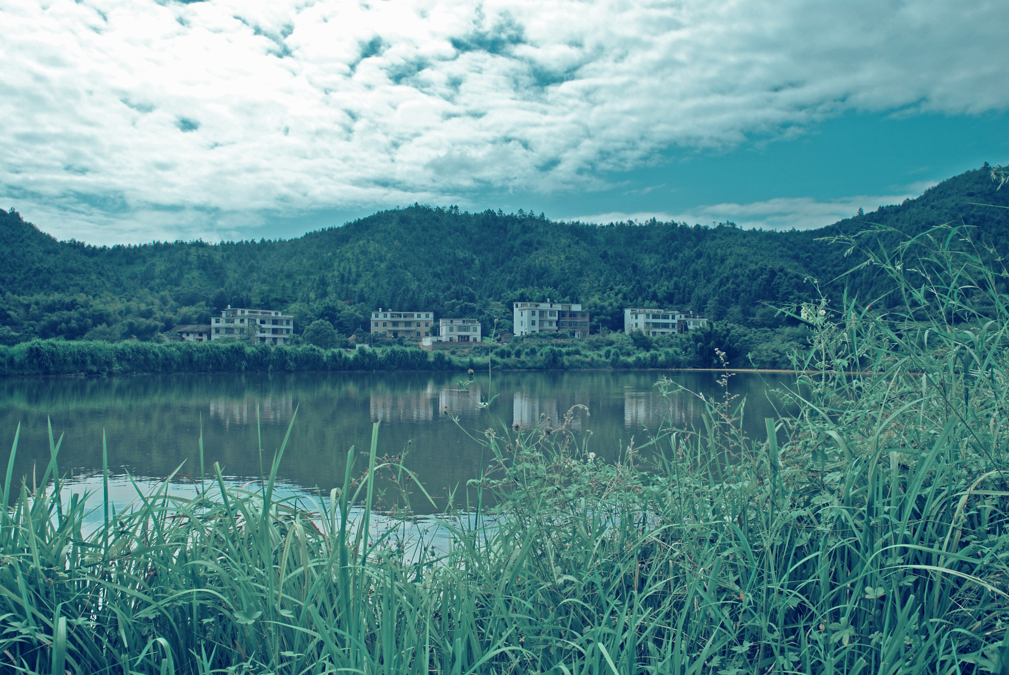 Nikon D80 sample photo. 长村水库 photography