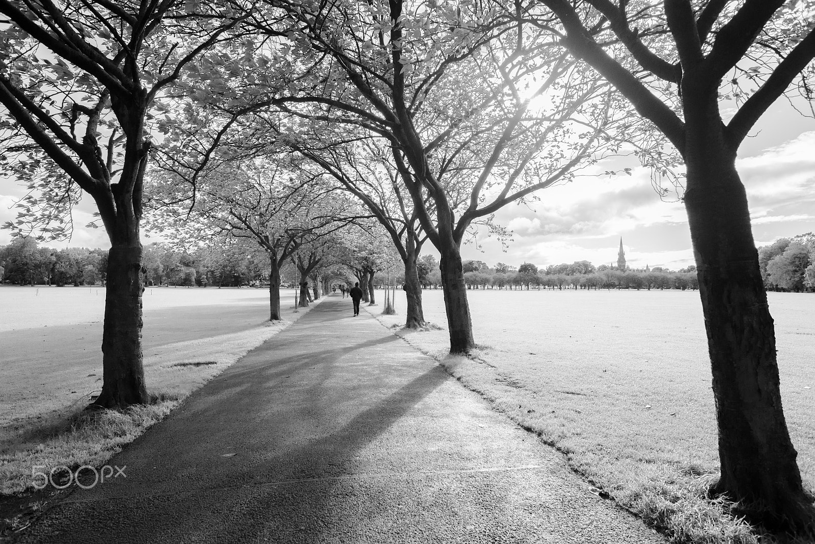 Nikon D600 + AF Nikkor 20mm f/2.8 sample photo. Walking in light & shadow photography