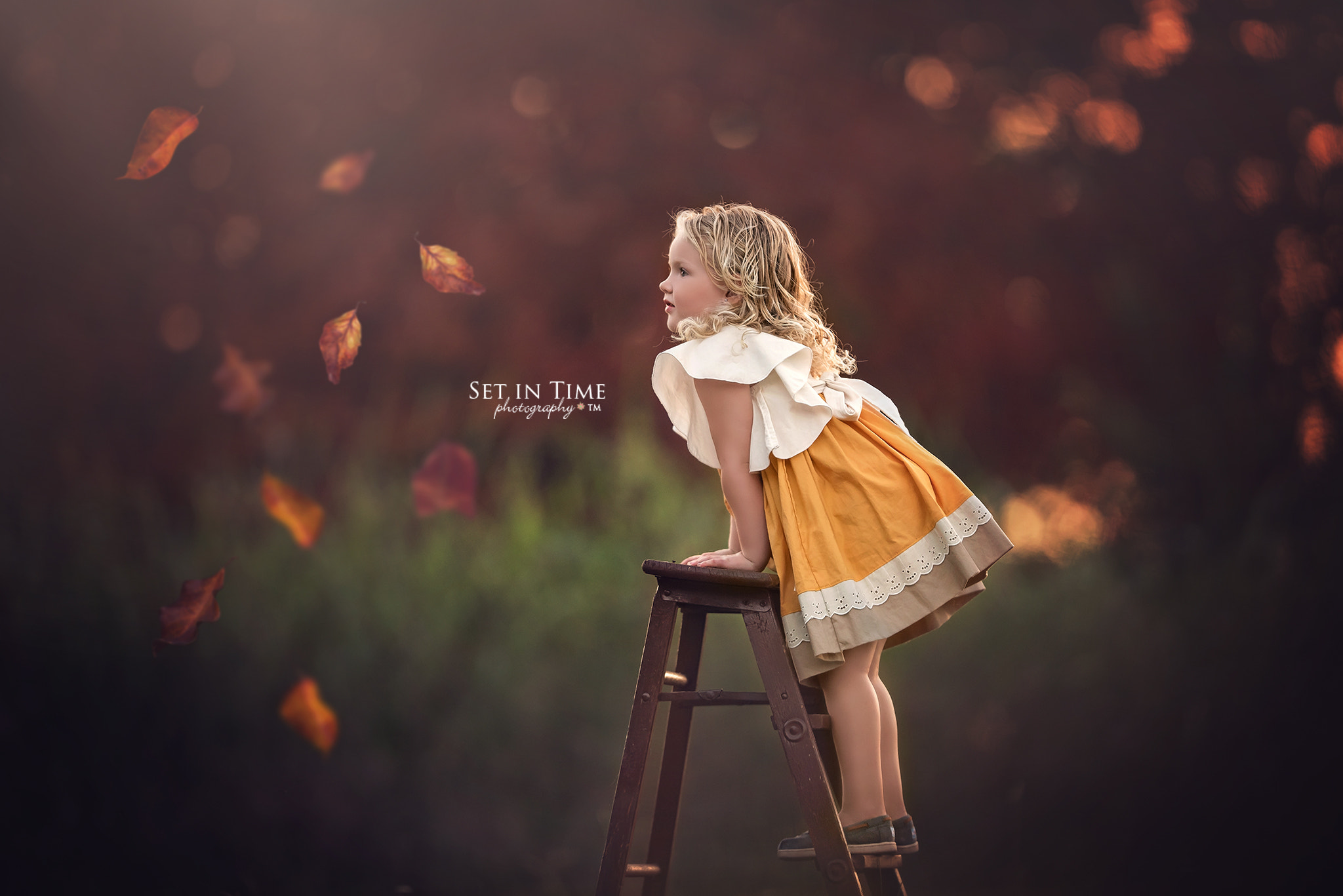Nikon AF-S Nikkor 200mm F2G ED VR II sample photo. Signs of fall photography