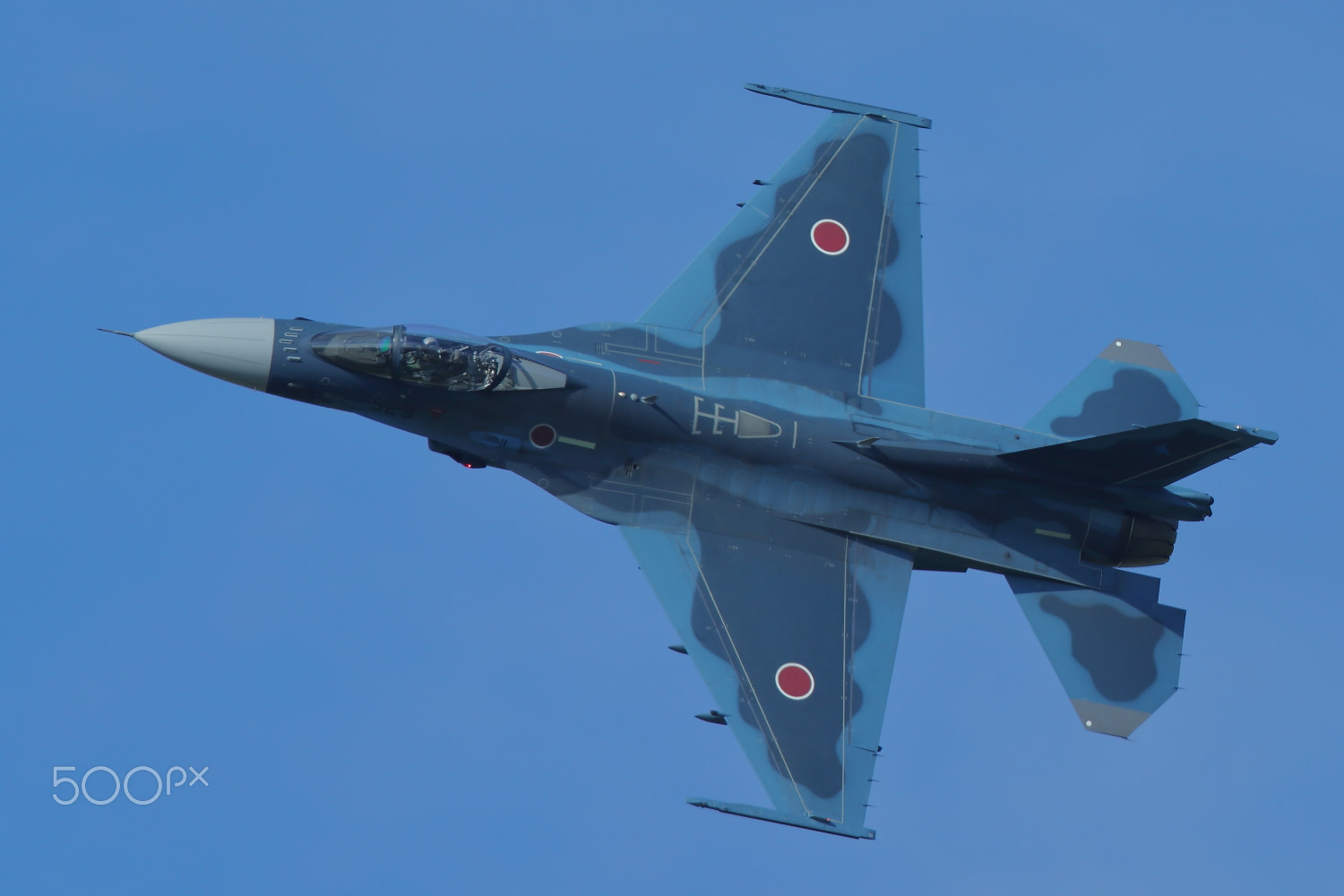 Canon EF 400mm F2.8L IS II USM sample photo. Ocean camouflage photography