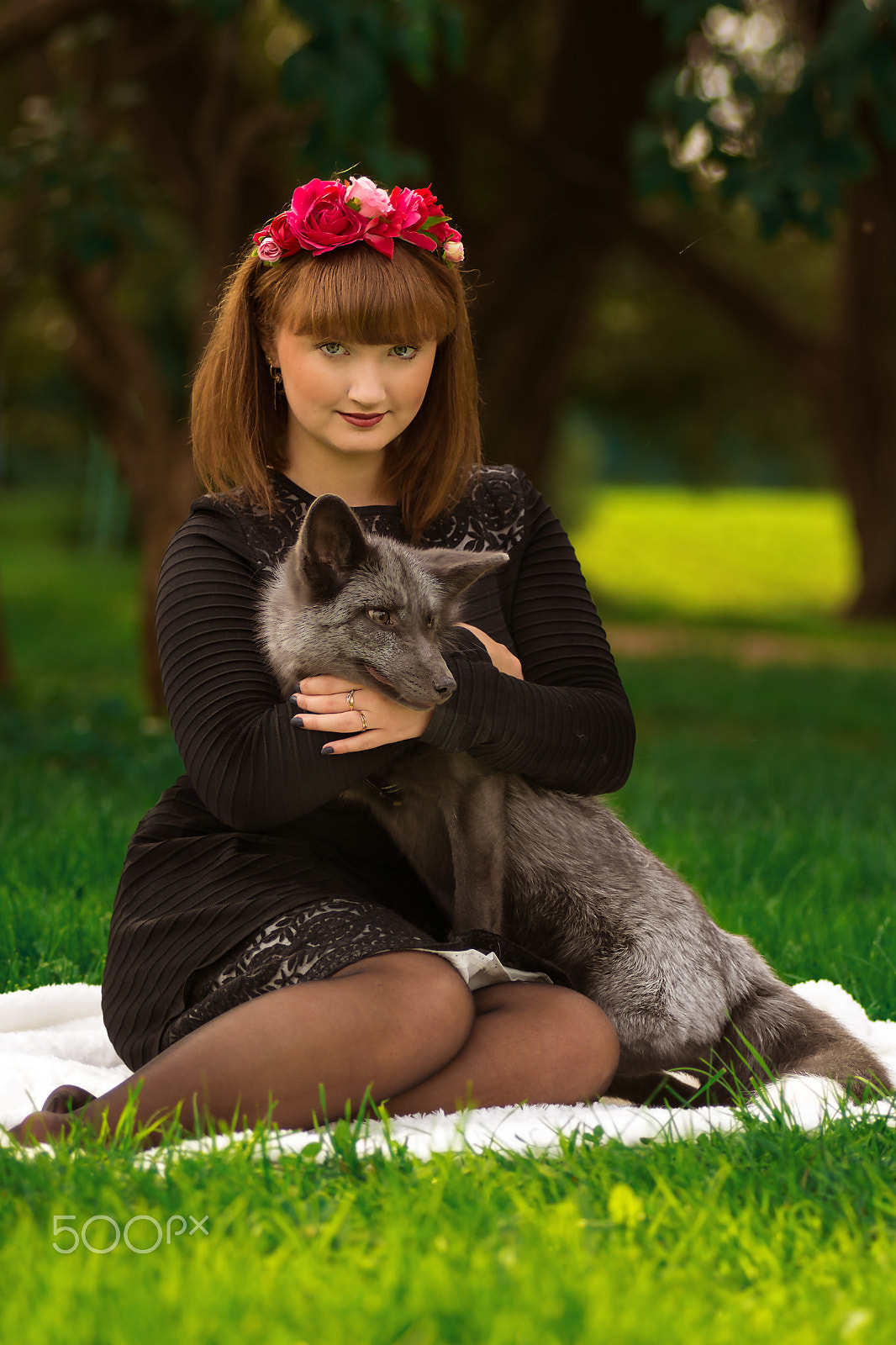 AF Zoom-Nikkor 80-200mm f/2.8 ED sample photo. Photo session with the animals photography