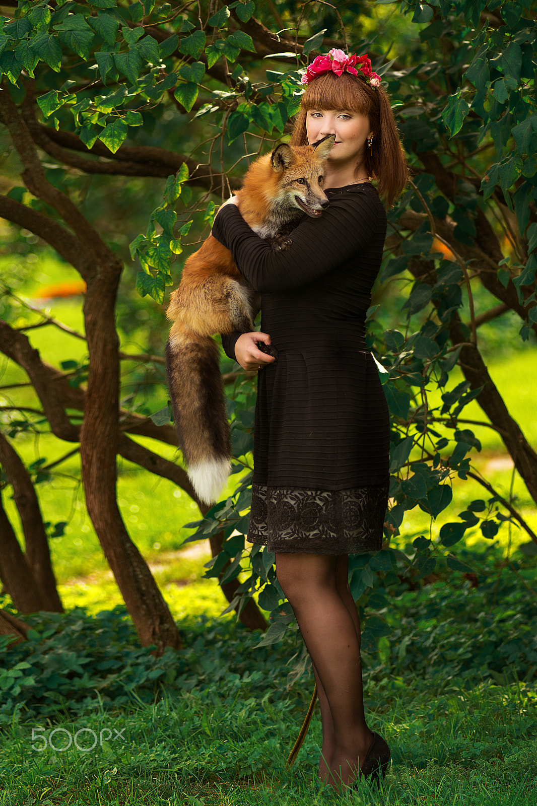 AF Zoom-Nikkor 80-200mm f/2.8 ED sample photo. Photo session with the animals photography