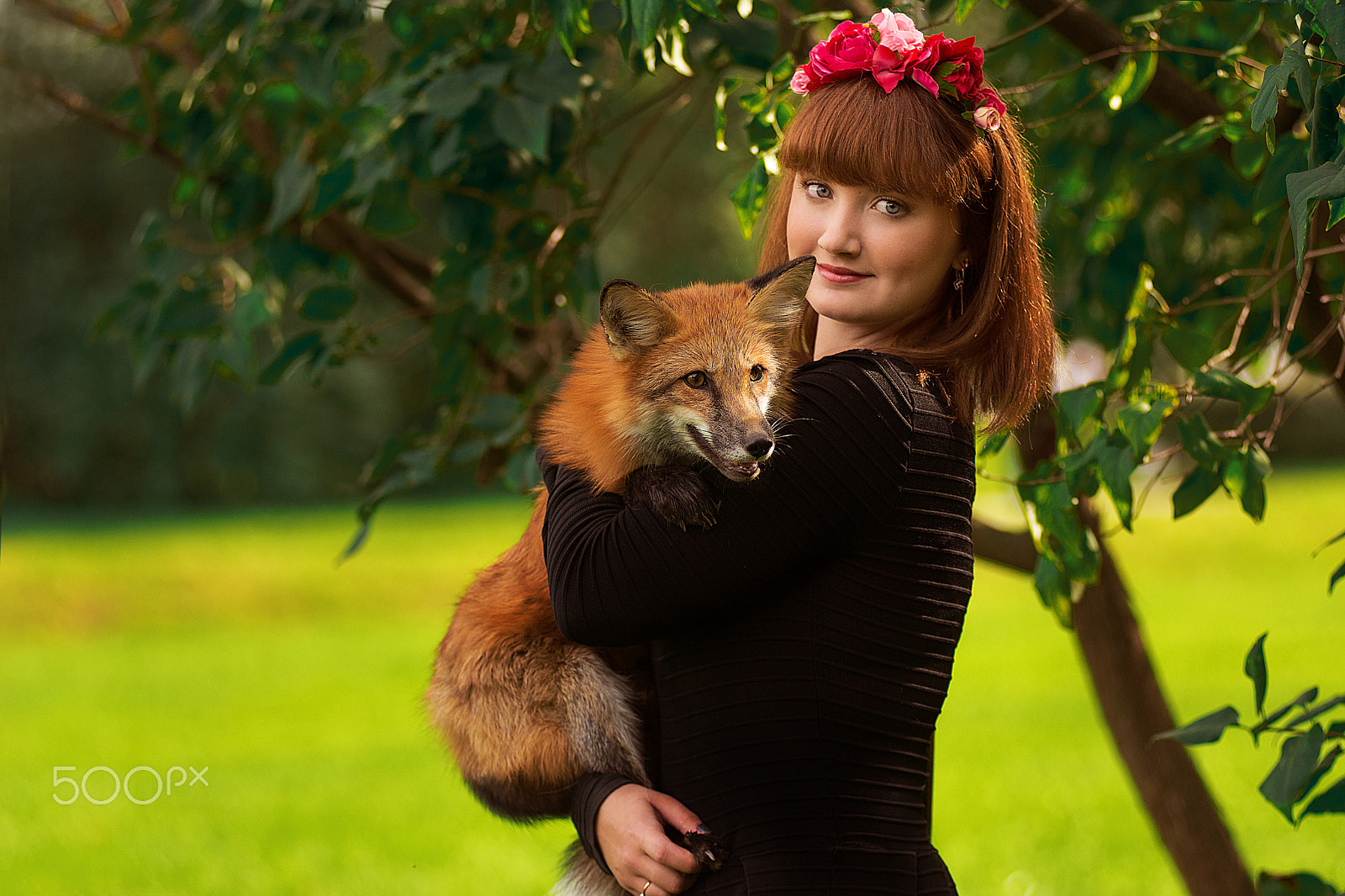 AF Zoom-Nikkor 80-200mm f/2.8 ED sample photo. Photo session with the animals photography