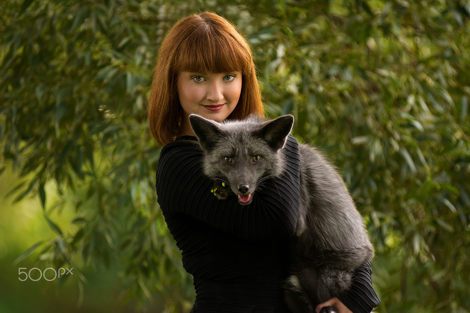 AF Zoom-Nikkor 80-200mm f/2.8 ED sample photo. Photo session with the animals photography
