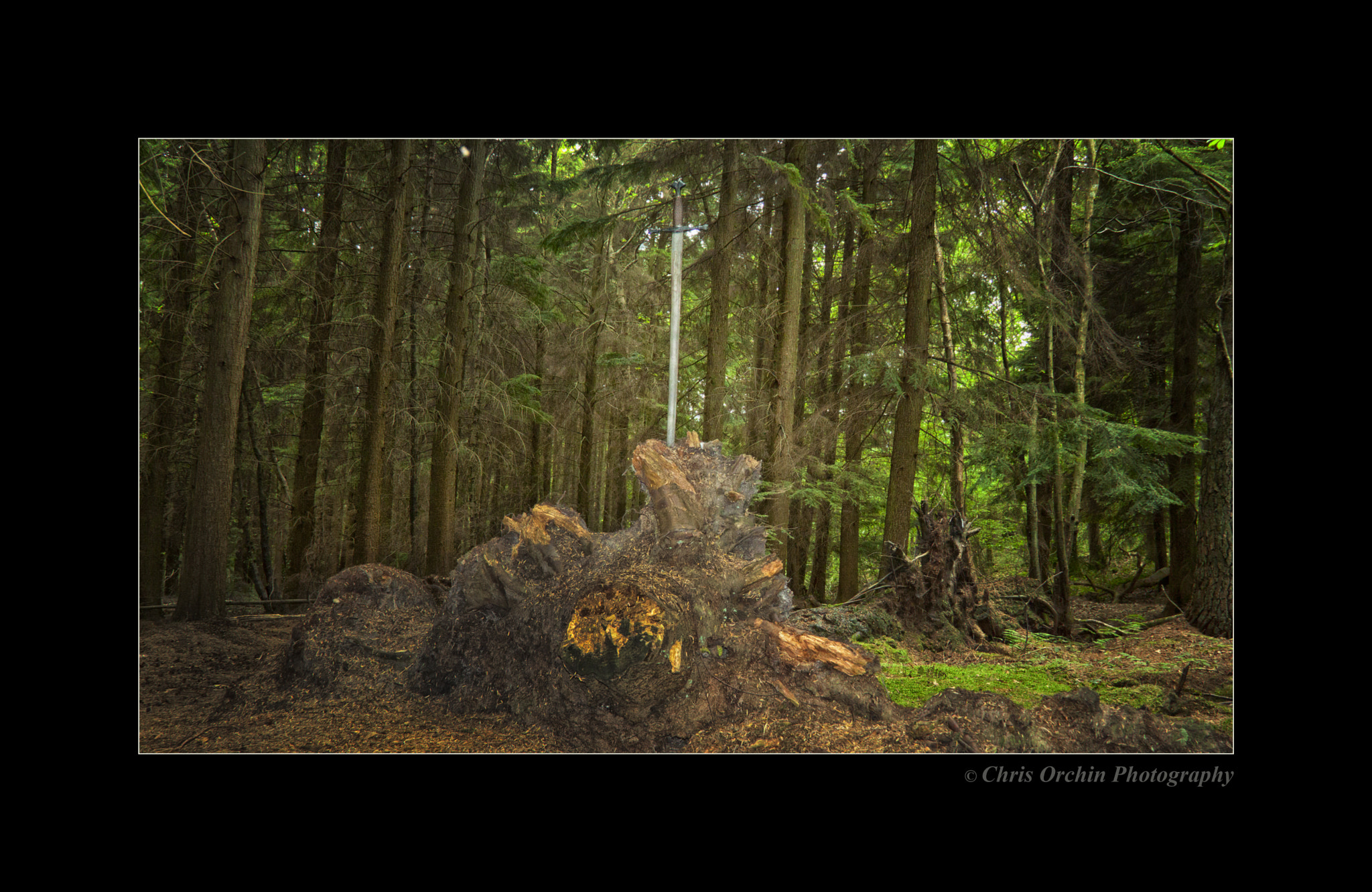 Sigma 18-125mm F3.8-5.6 DC OS HSM sample photo. A sword of destiny photography