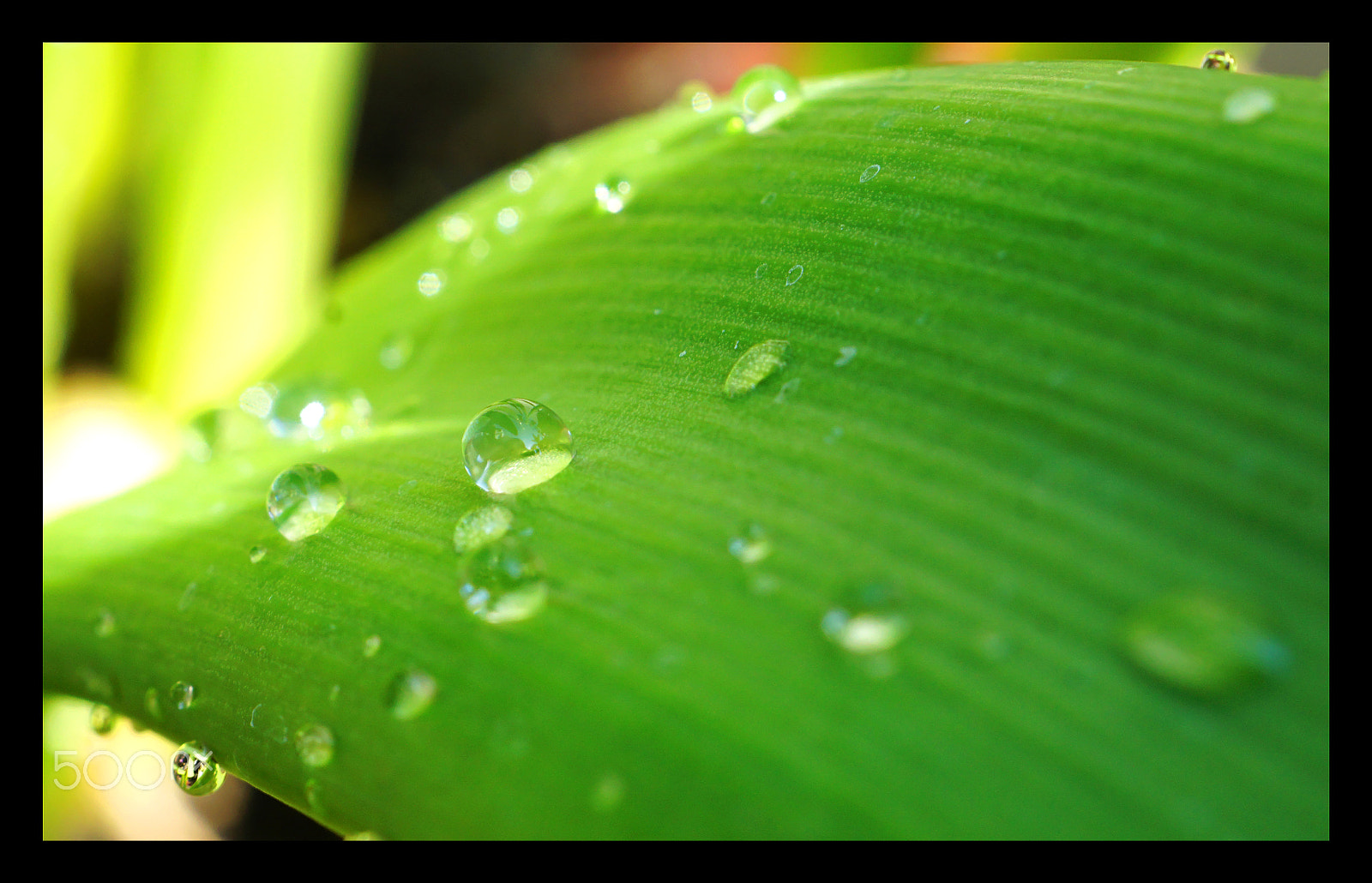 Sony DT 30mm F2.8 Macro SAM sample photo. Here comes the rain again photography