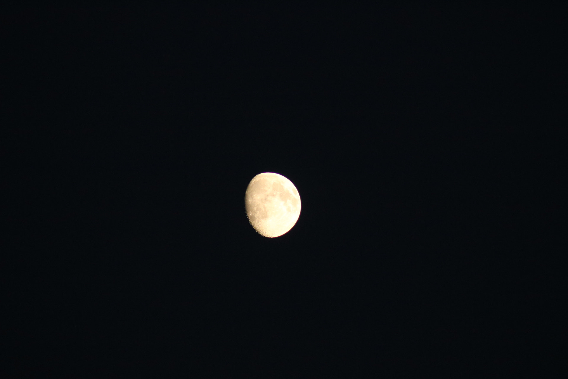 Canon EOS 750D (EOS Rebel T6i / EOS Kiss X8i) + EF75-300mm f/4-5.6 sample photo