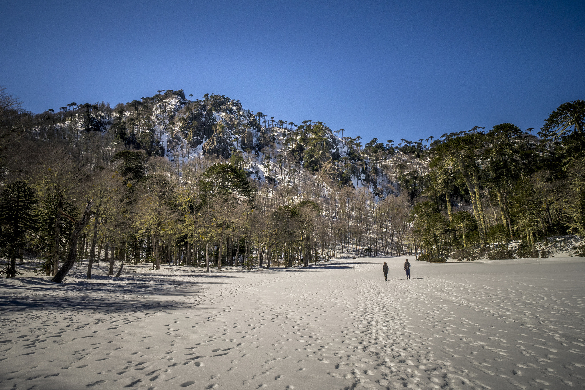 Sony a7 + E 21mm F2.8 sample photo. Lost in the mountains photography