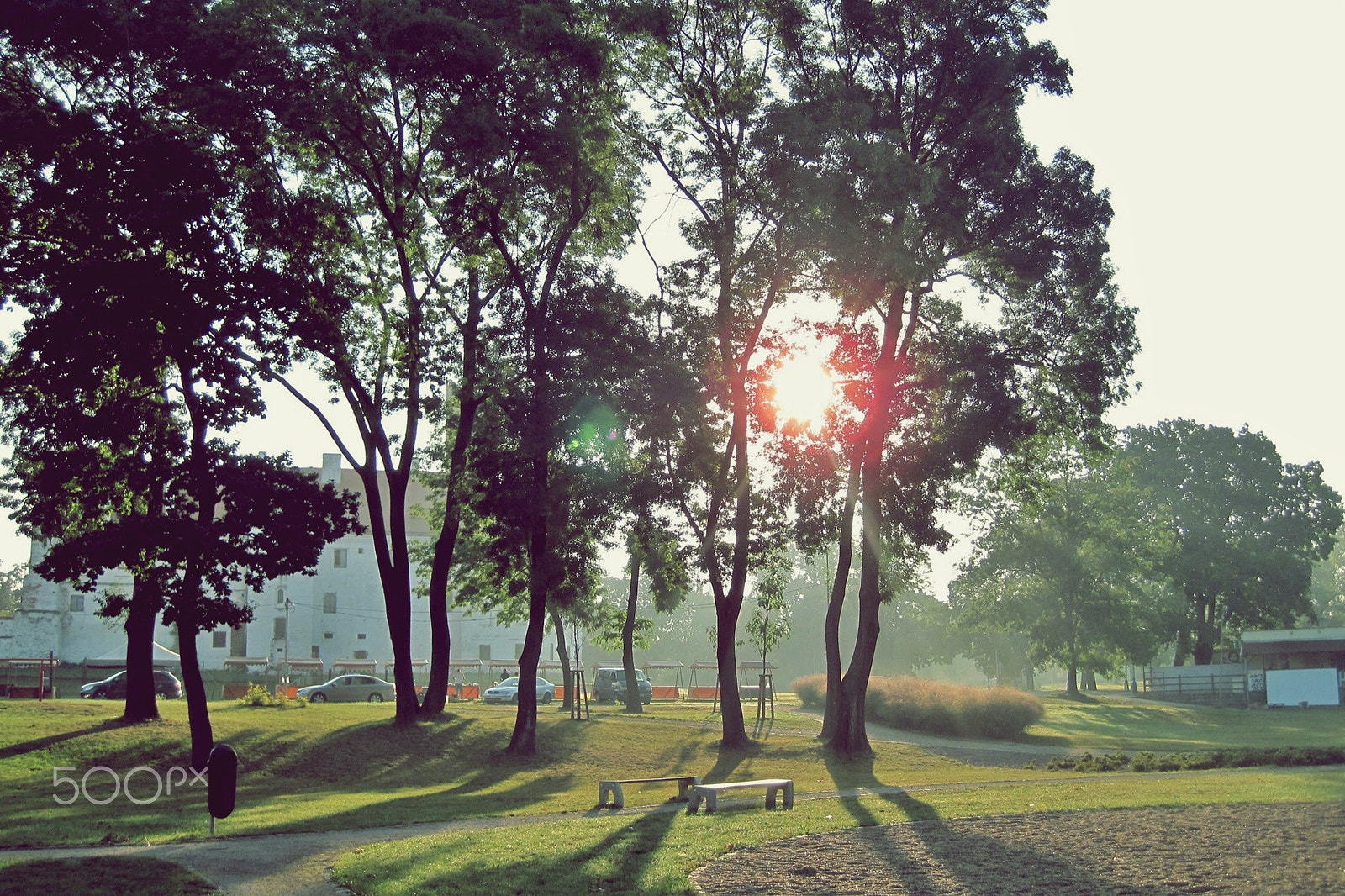 Canon PowerShot D10 sample photo. Late summer morning photography