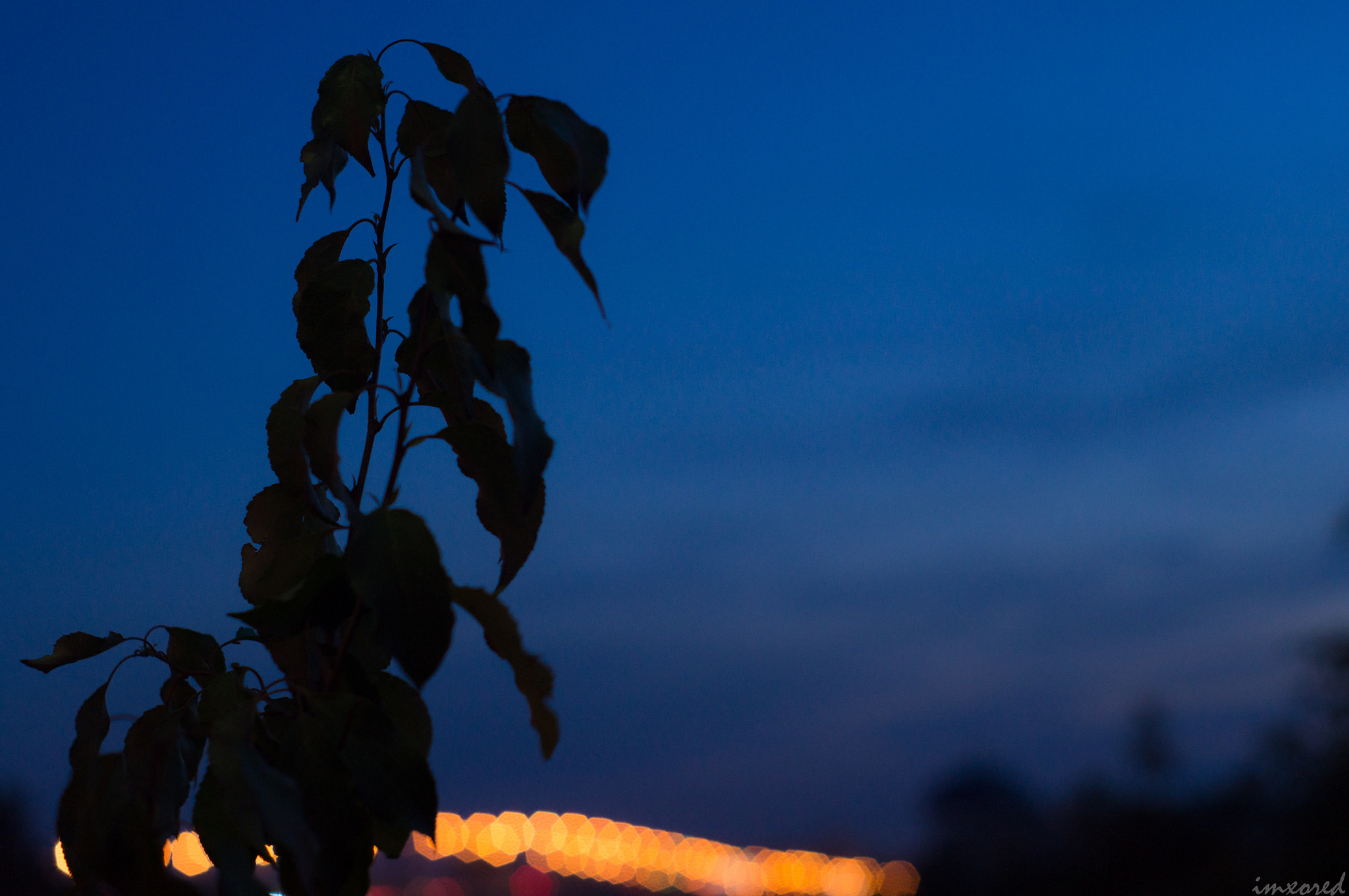 Sony SLT-A37 + Minolta AF 50mm F1.7 sample photo. Night sky photography