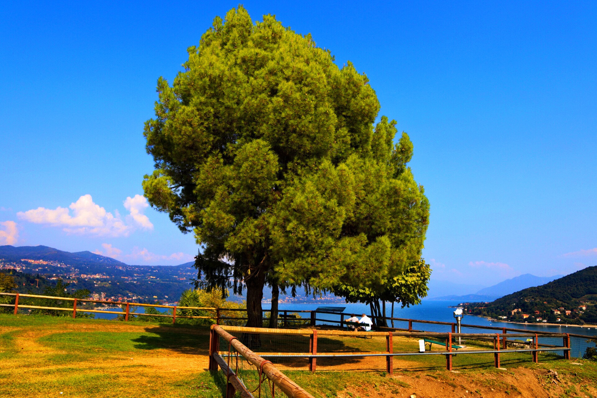 Canon 17-50mm sample photo