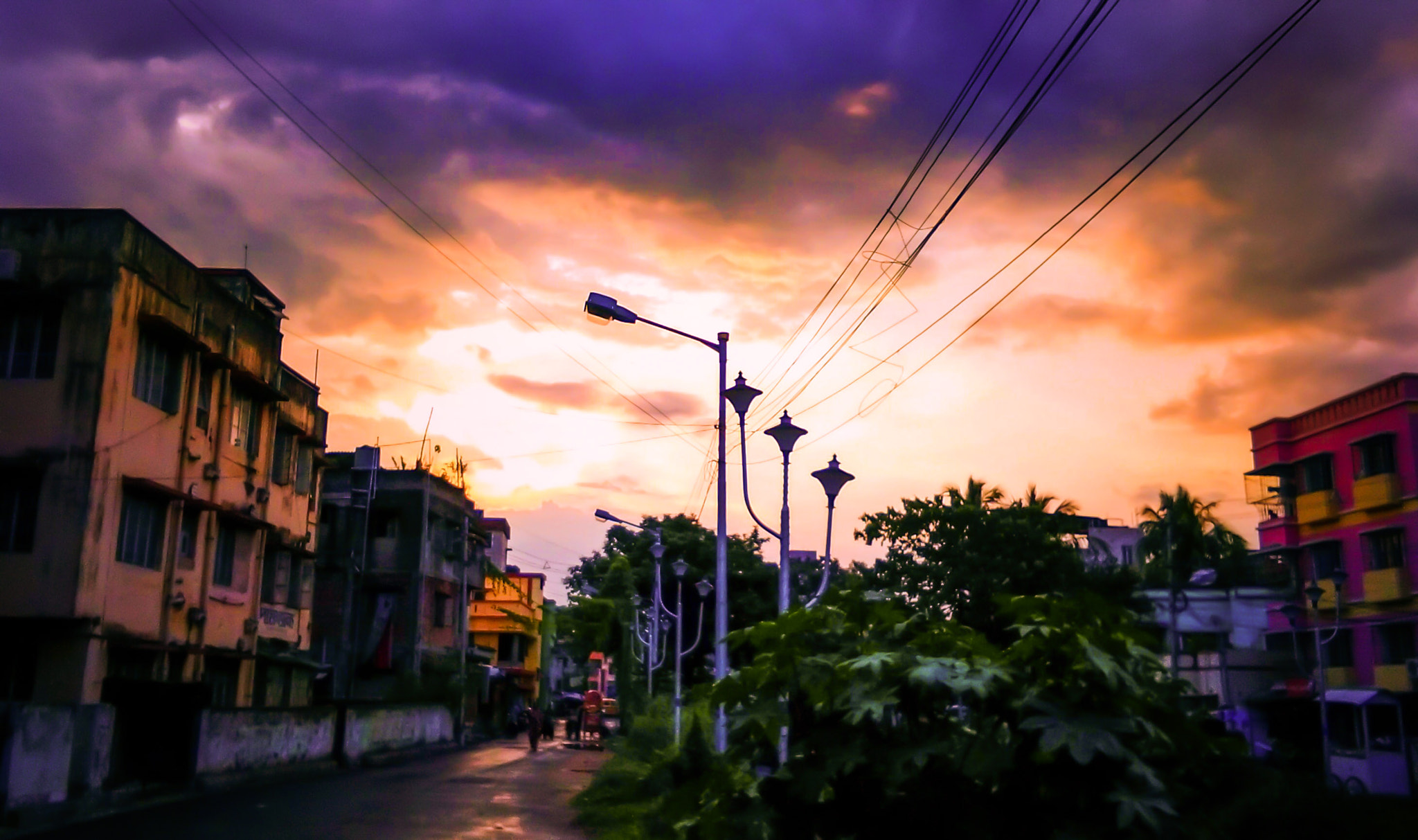 vivo Y51L sample photo. An evening  photography