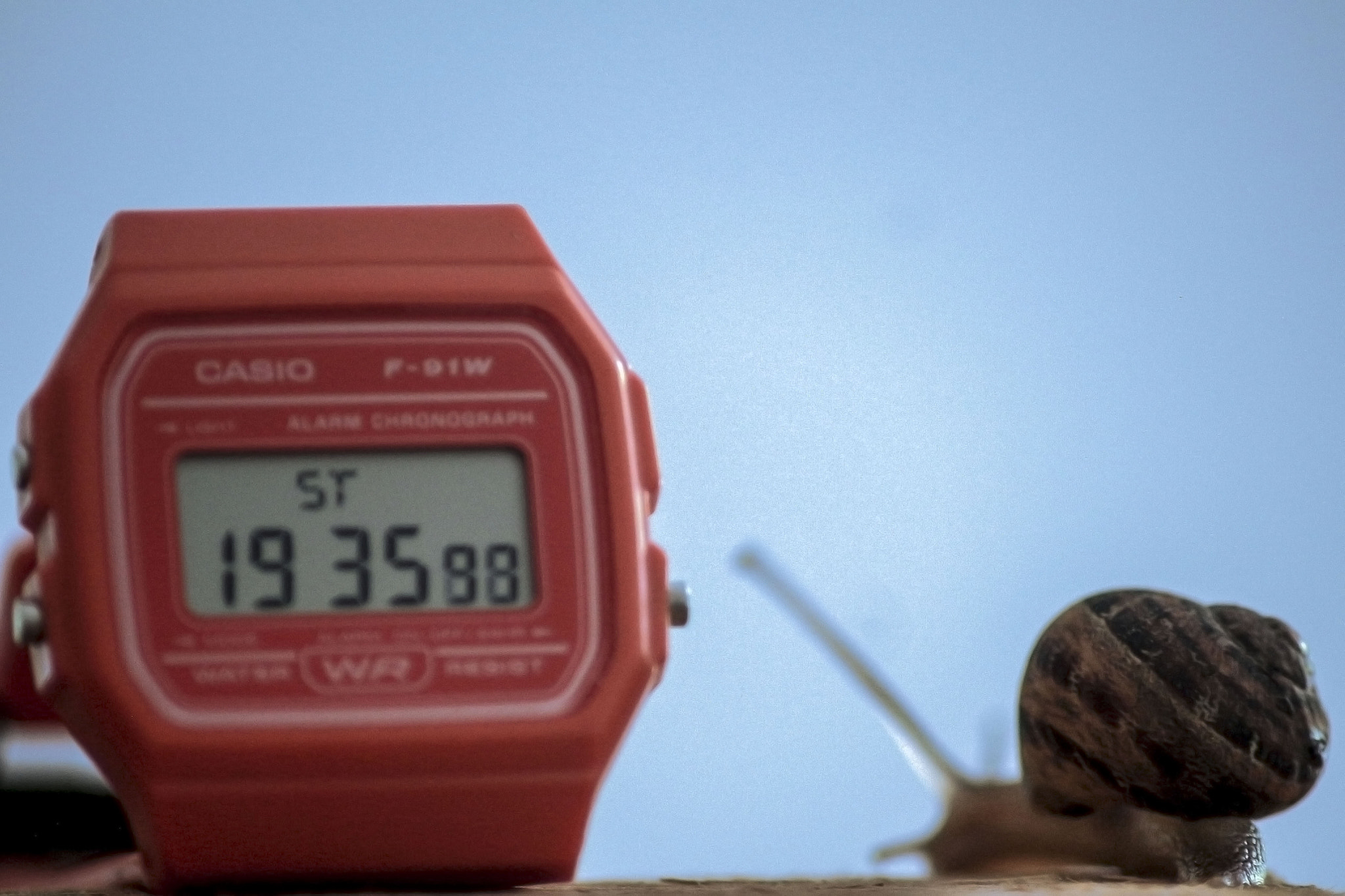 Sigma 70-300mm F4-5.6 APO DG Macro sample photo. Time is relative photography