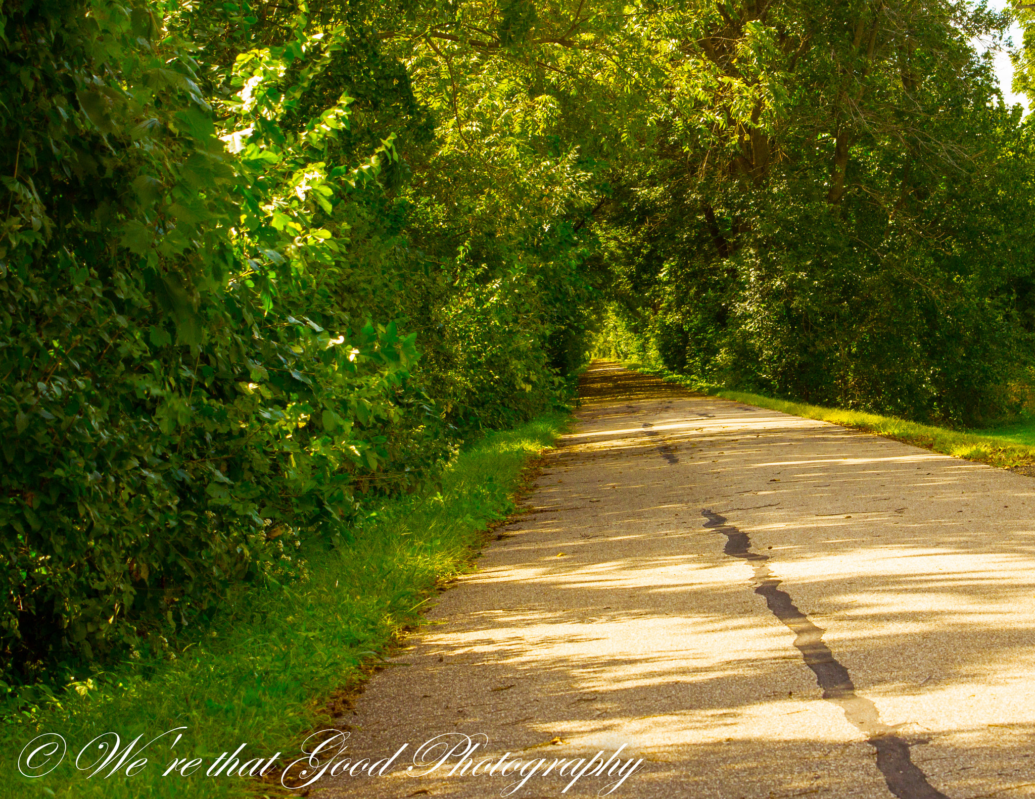 Canon EF 55-200mm F4.5-5.6 II USM sample photo. September trail photography