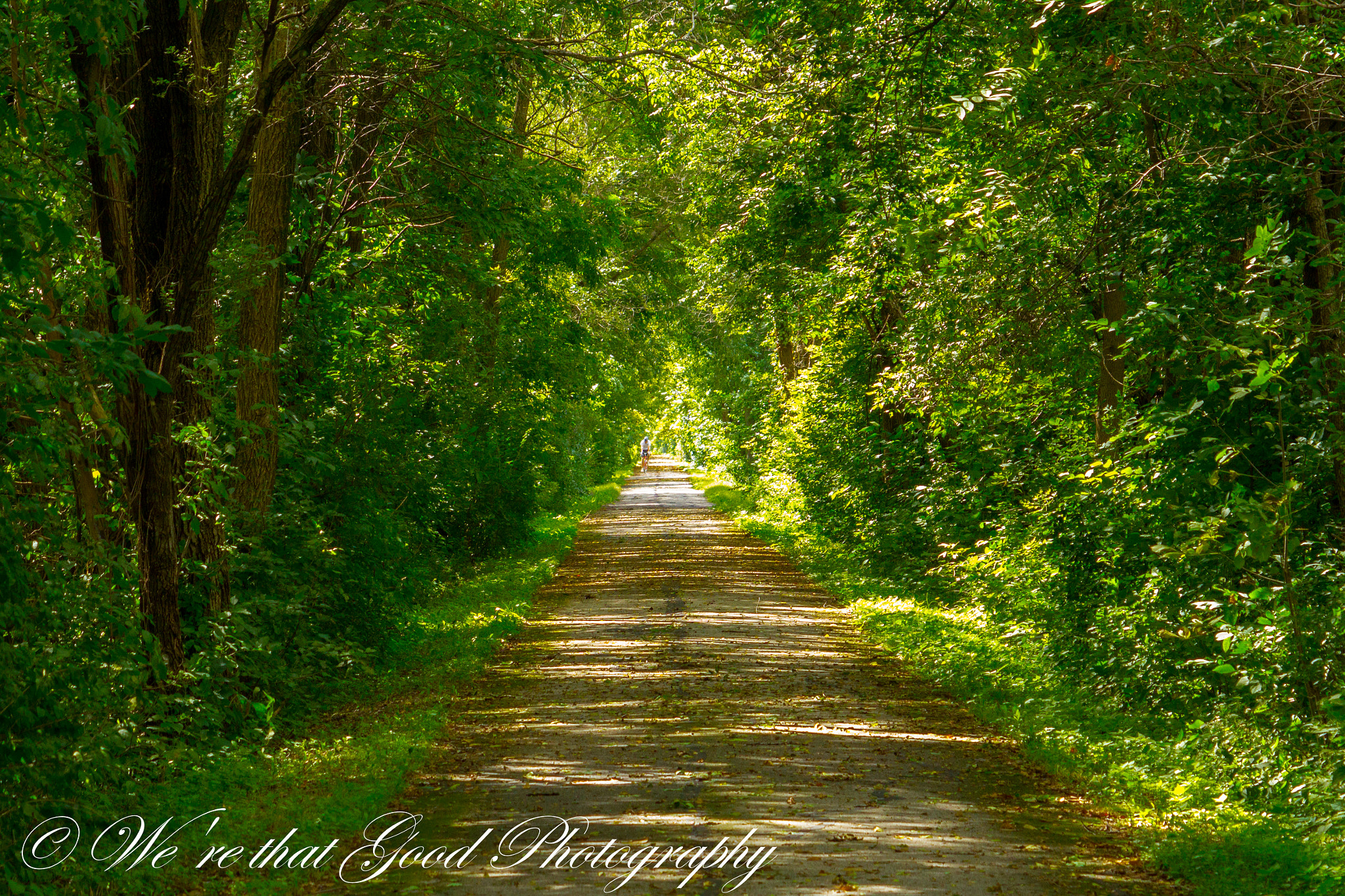Canon EF 55-200mm F4.5-5.6 II USM sample photo. Bike path photography