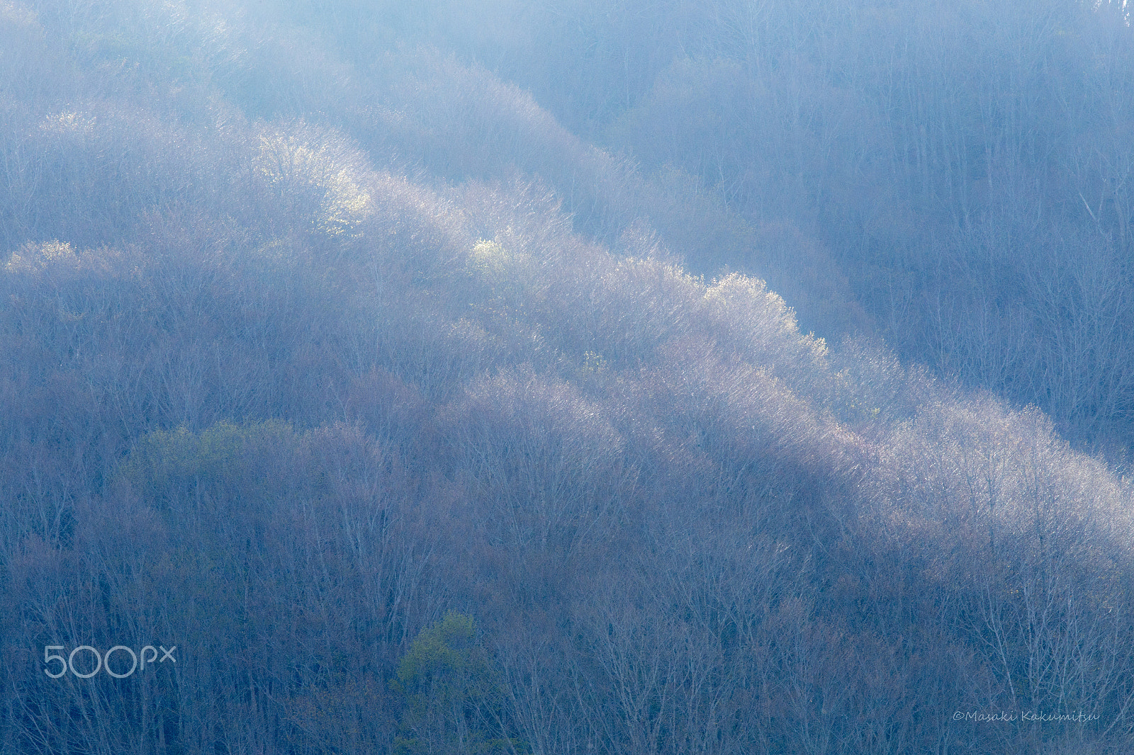 Canon EF 70-200mm F4L IS USM sample photo. I will go to meet tomorrow photography