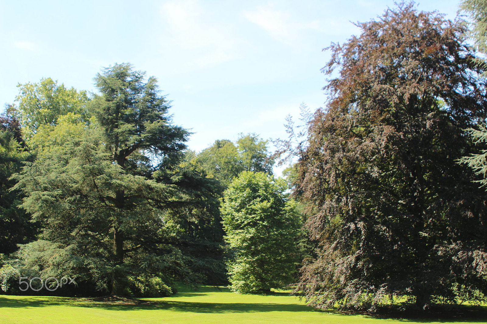 Canon EF 28-105mm f/3.5-4.5 USM sample photo. Schloss dyck no.11 photography