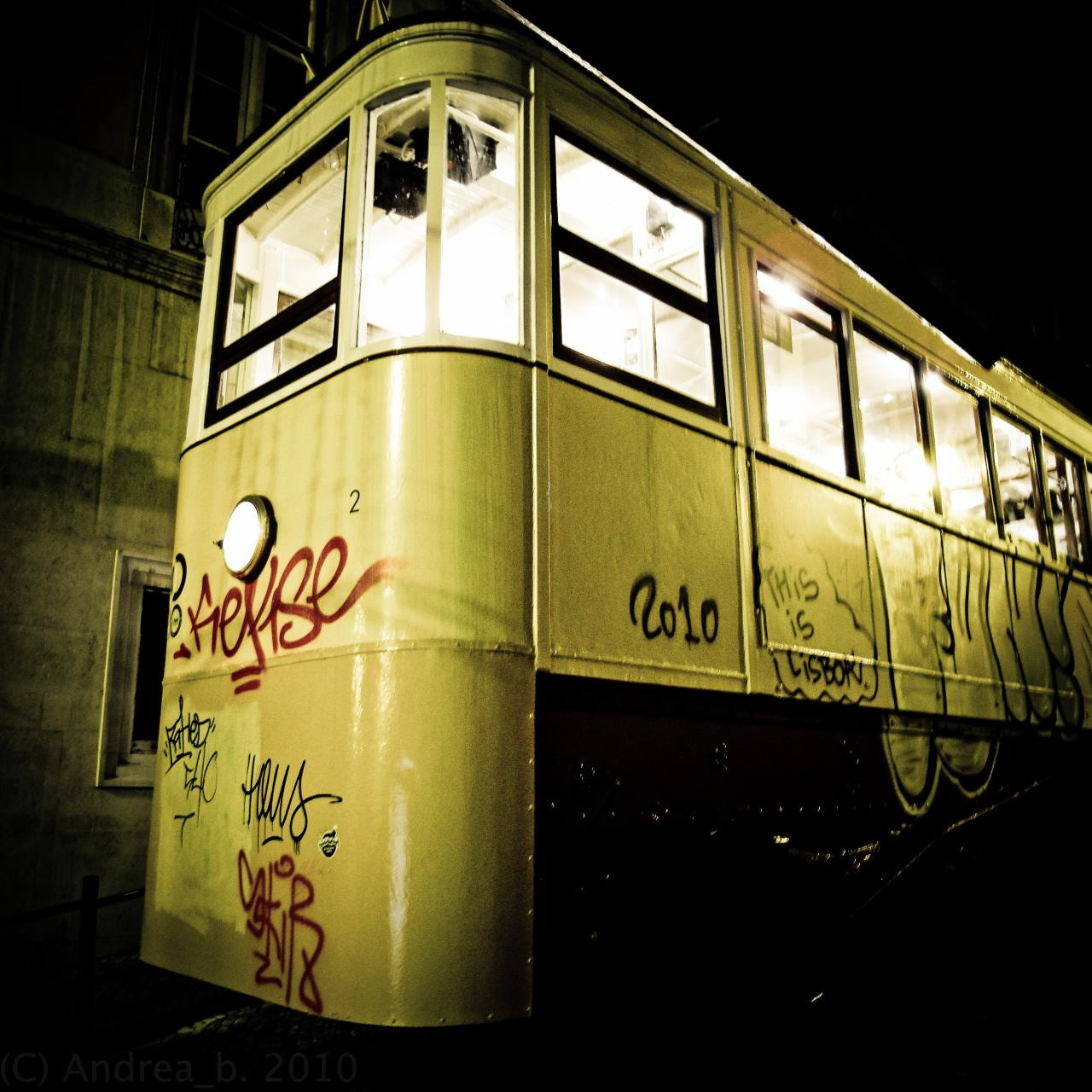 Ricoh Caplio GX100 sample photo. Shining yellow photography