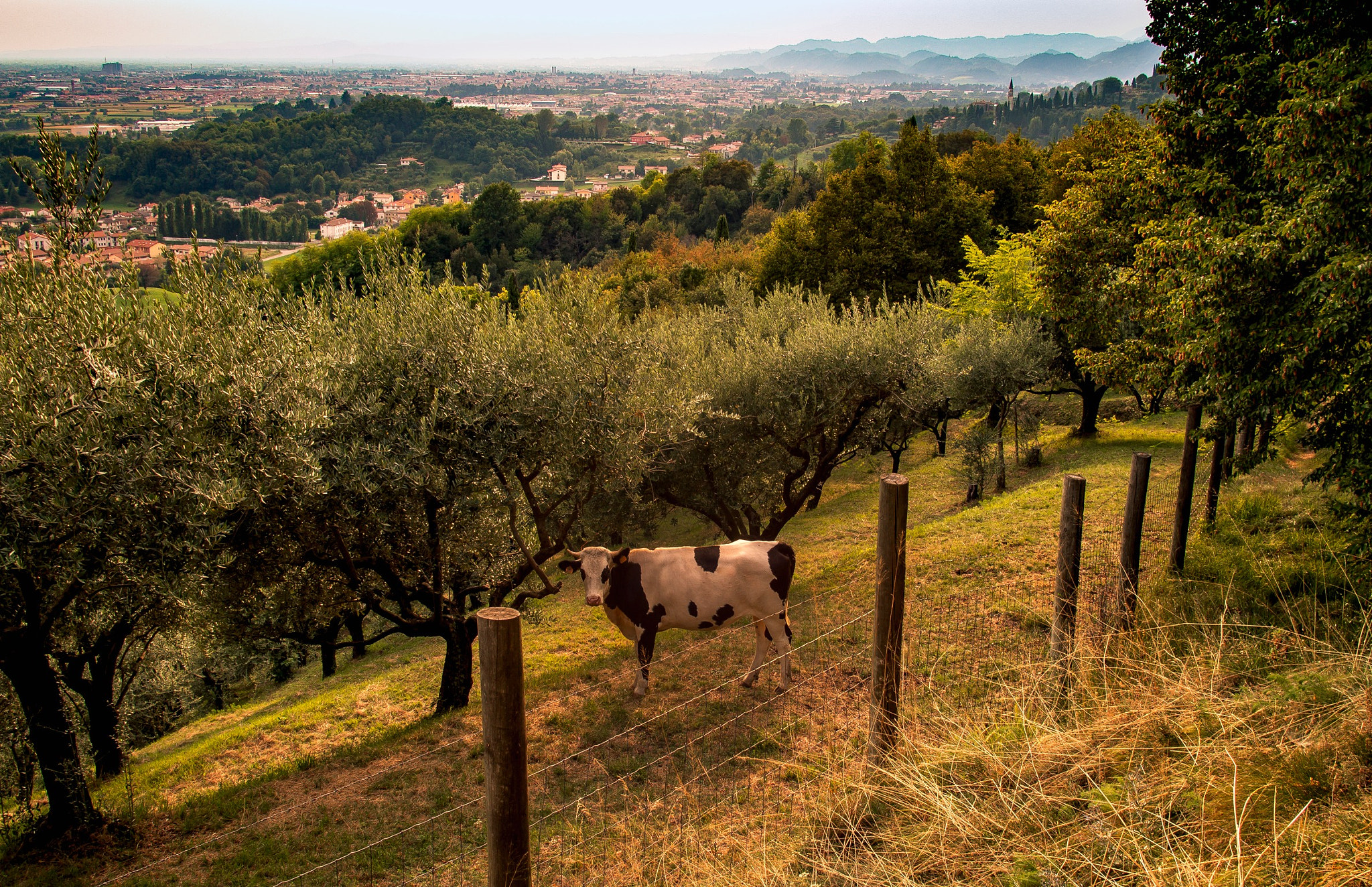 Olympus OM-D E-M5 + Sigma 19mm F2.8 DN Art sample photo. Panorama of the day photography