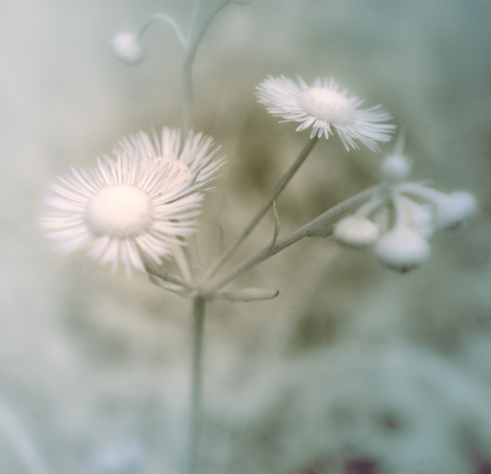 Nikon D1X sample photo. () photography