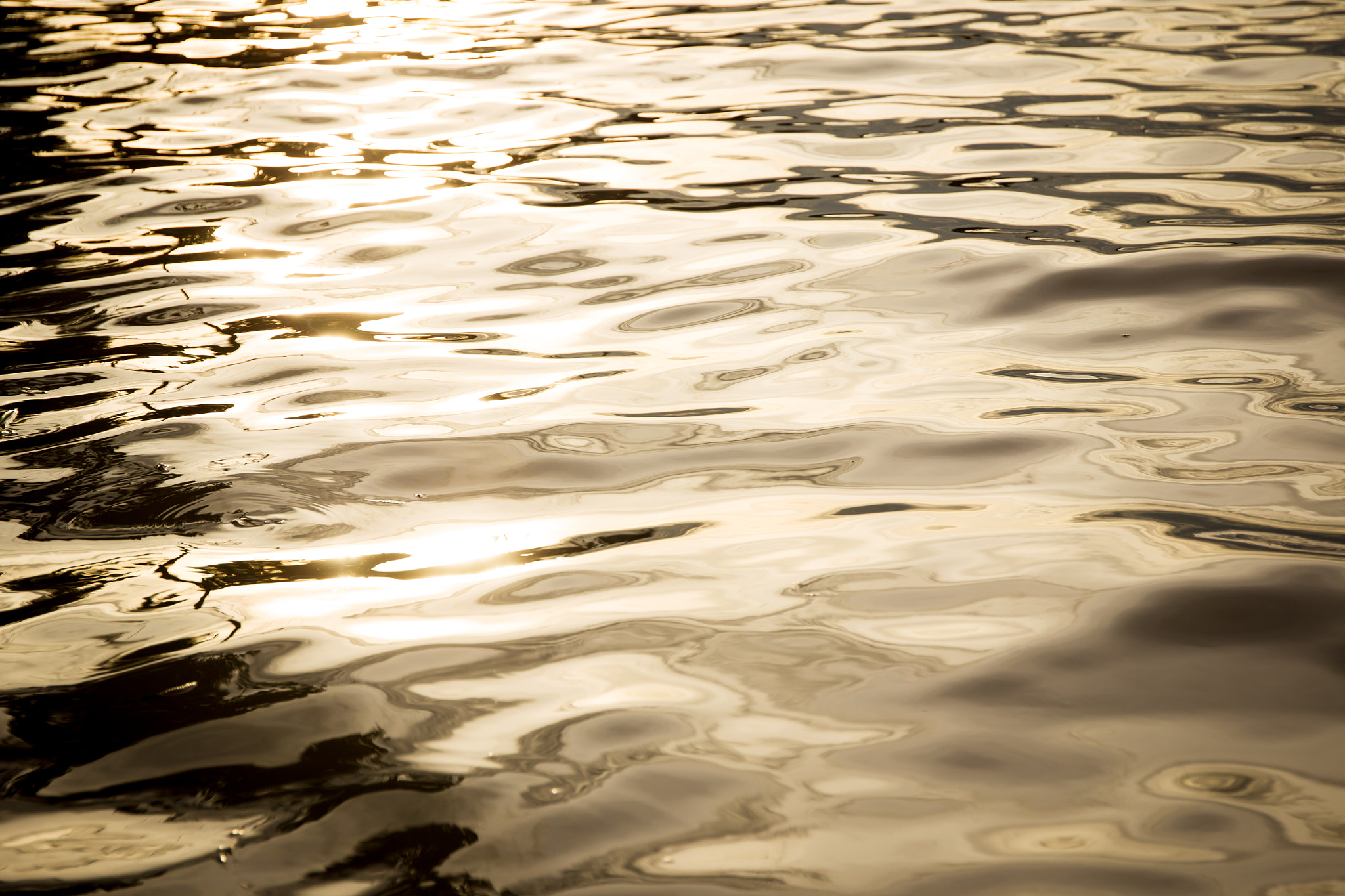 Canon EOS-1D Mark IV sample photo. Golden light photography