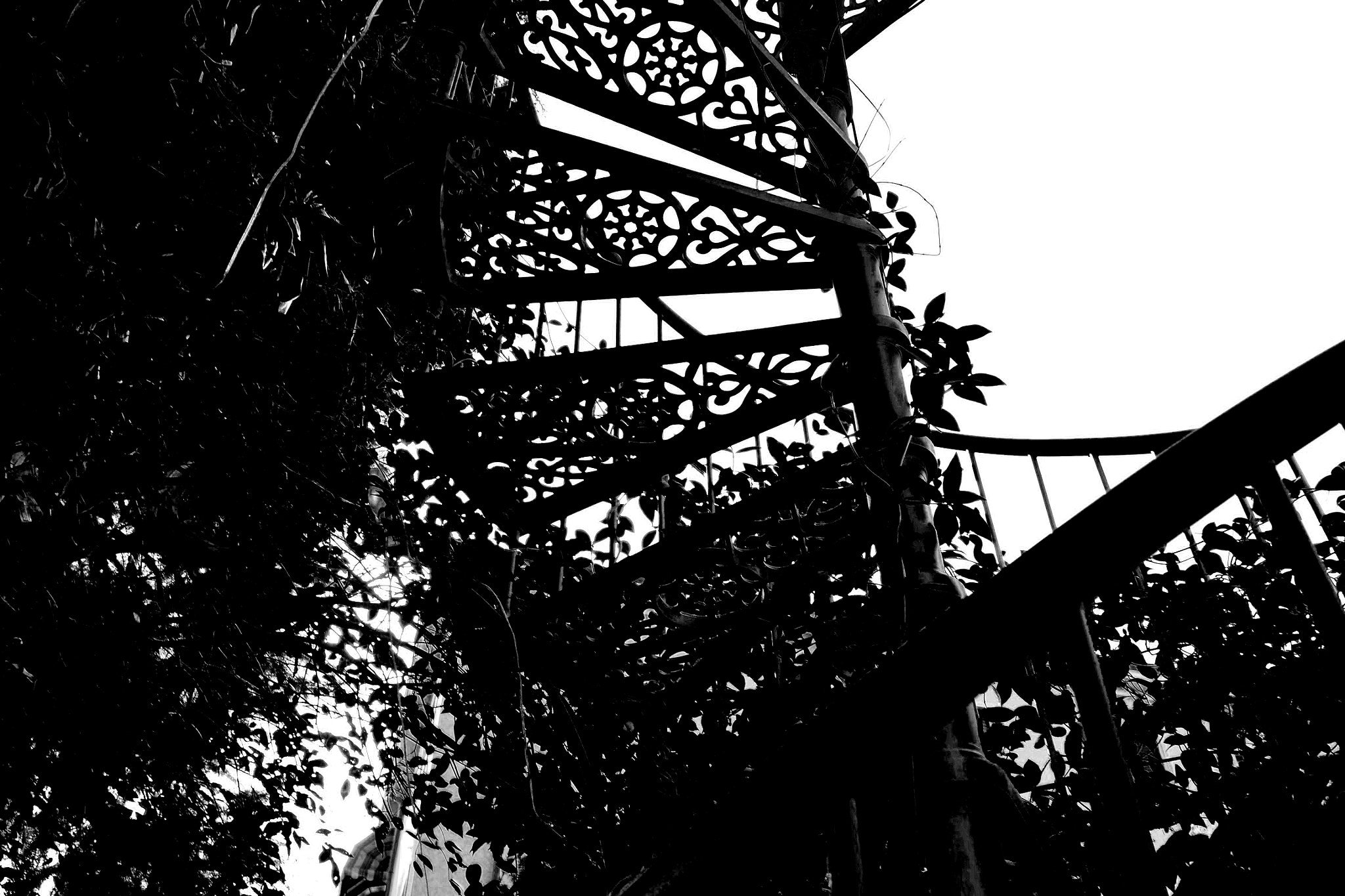 LUMIX G VARIO PZ 14-42/F3.5-5.6 sample photo. A ladder in the garden photography