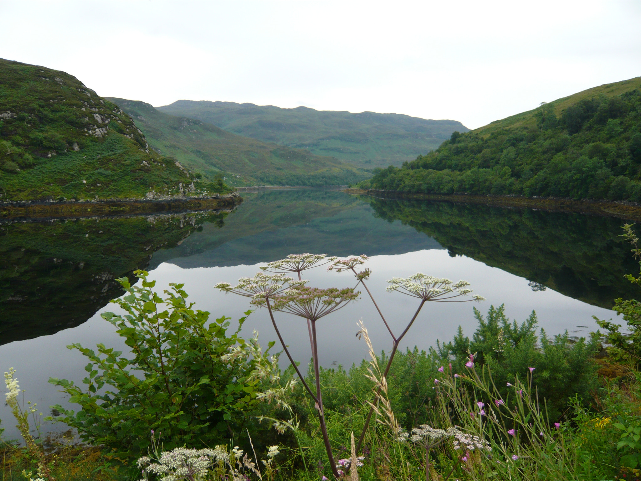 Panasonic DMC-FX33 sample photo. Lake / loch at alt-nan-subh in scotland photography