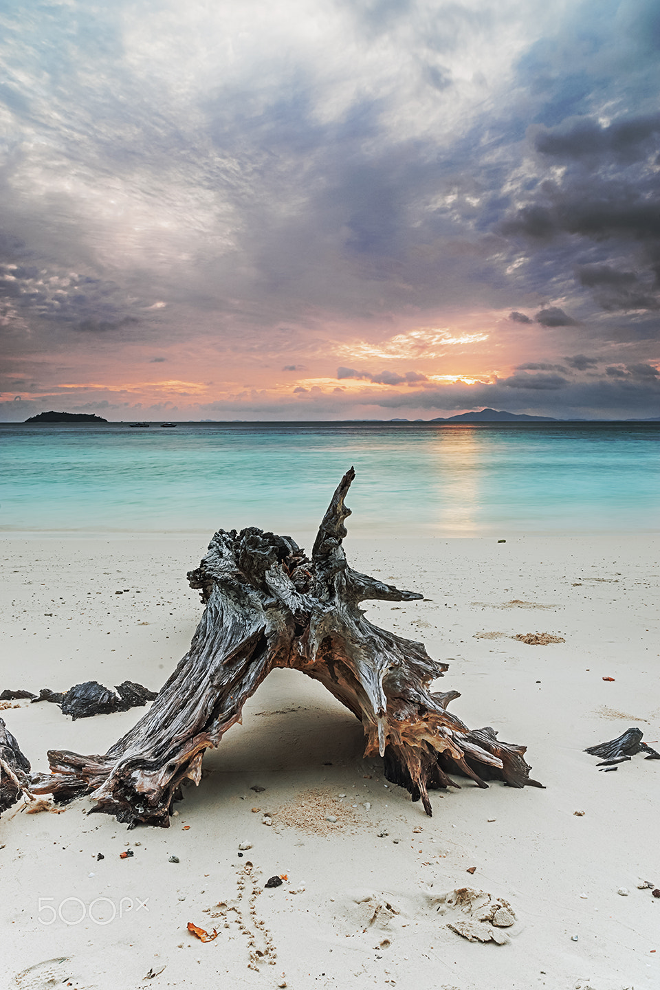 Sony Alpha a99 sample photo. The sunrise and deadwood ii photography
