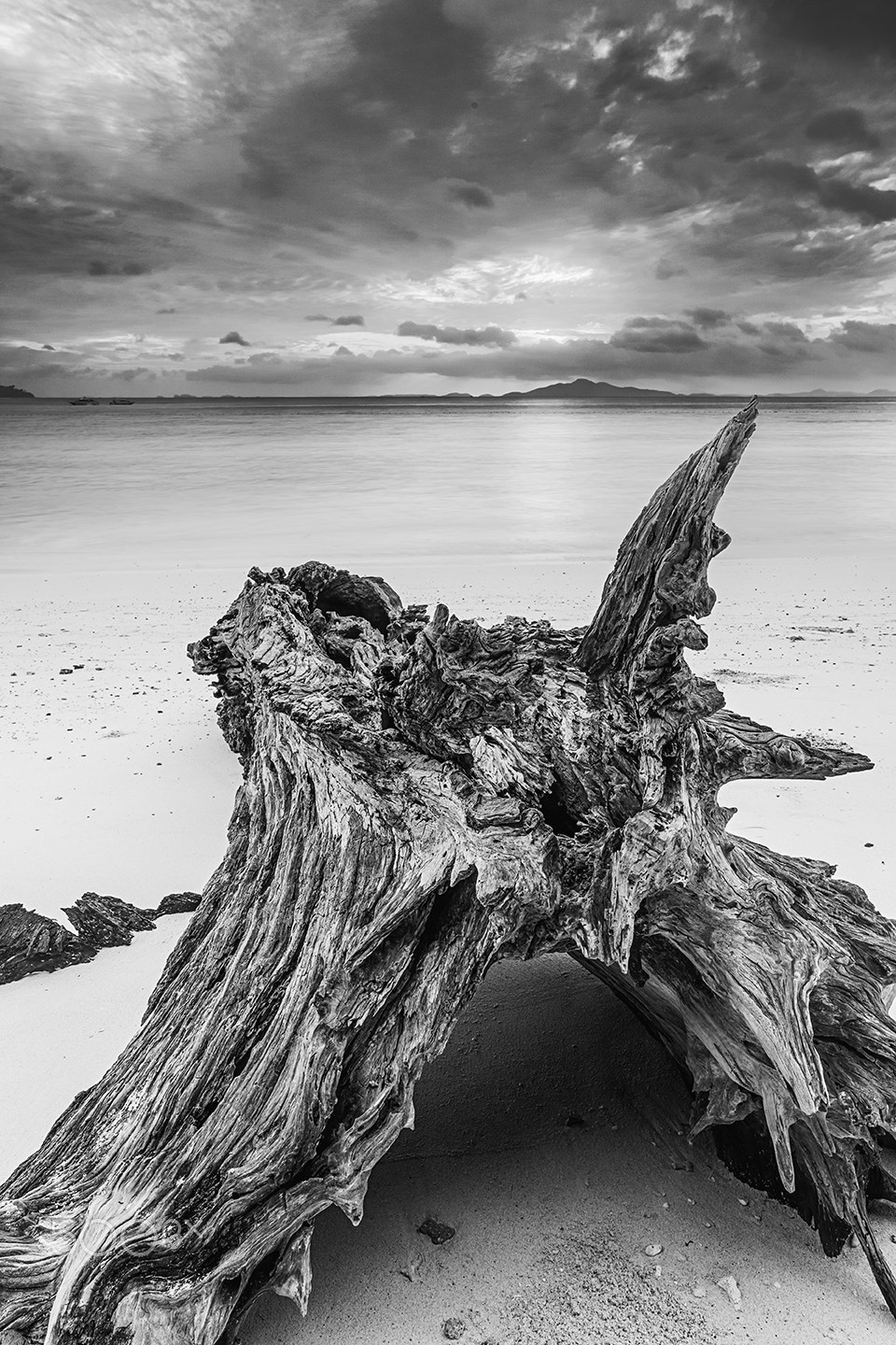 Sony Alpha a99 sample photo. The sunrise and deadwood iii photography