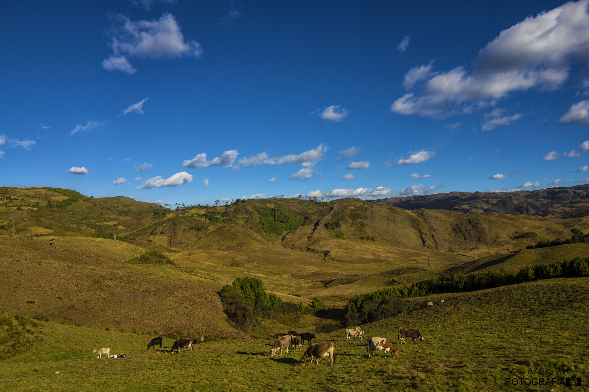 Sony SLT-A58 + 20mm F2.8 sample photo. Camino celendín - chachapoyas photography