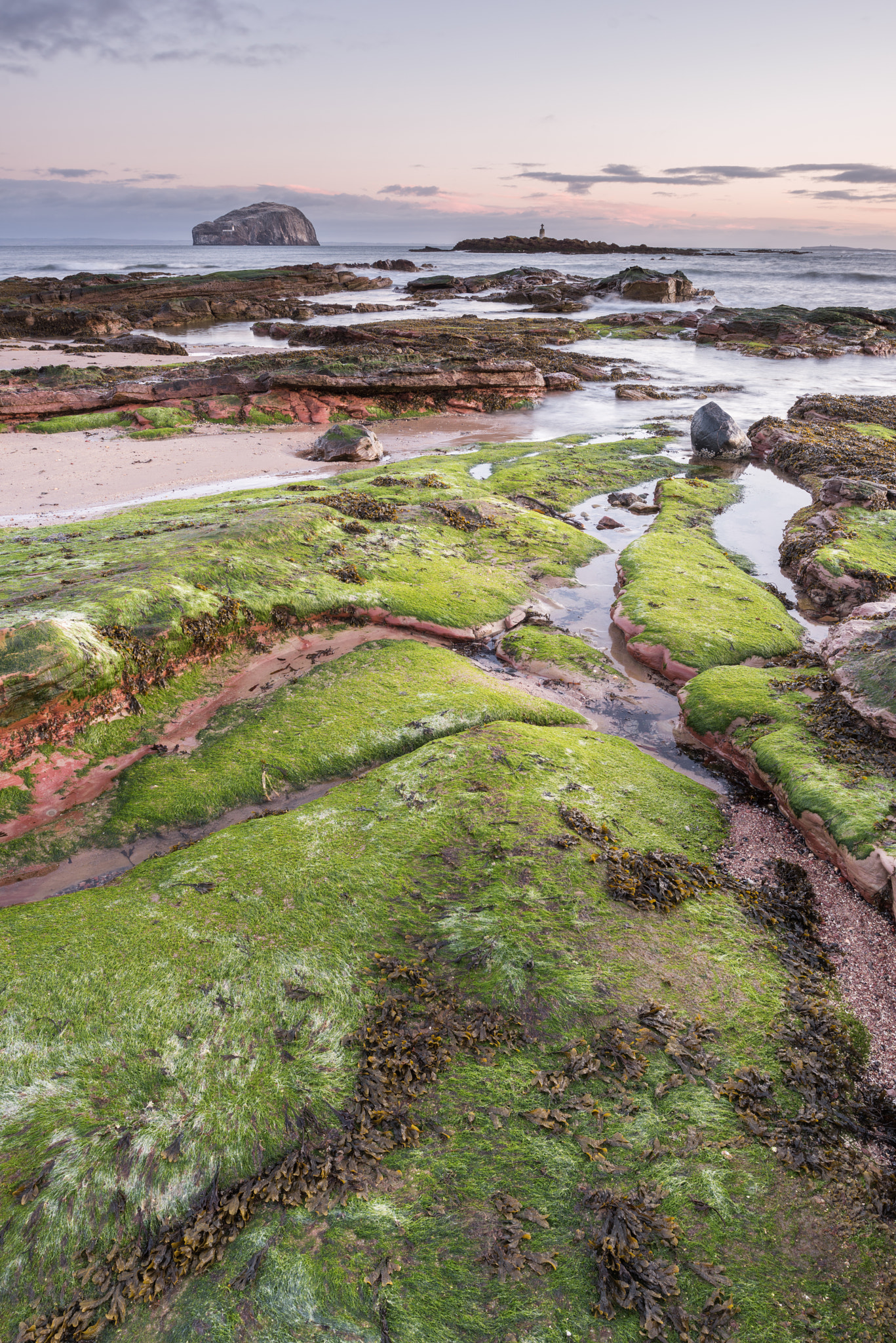 Nikon D810 + Nikon PC-E Nikkor 24mm F3.5D ED Tilt-Shift sample photo. Seacliff morning photography