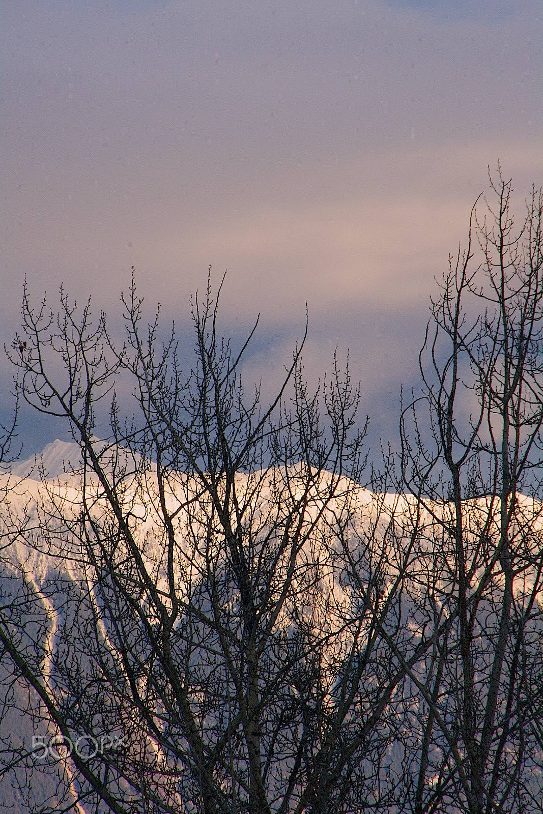 Pentax K-7 sample photo. Fresh snow photography