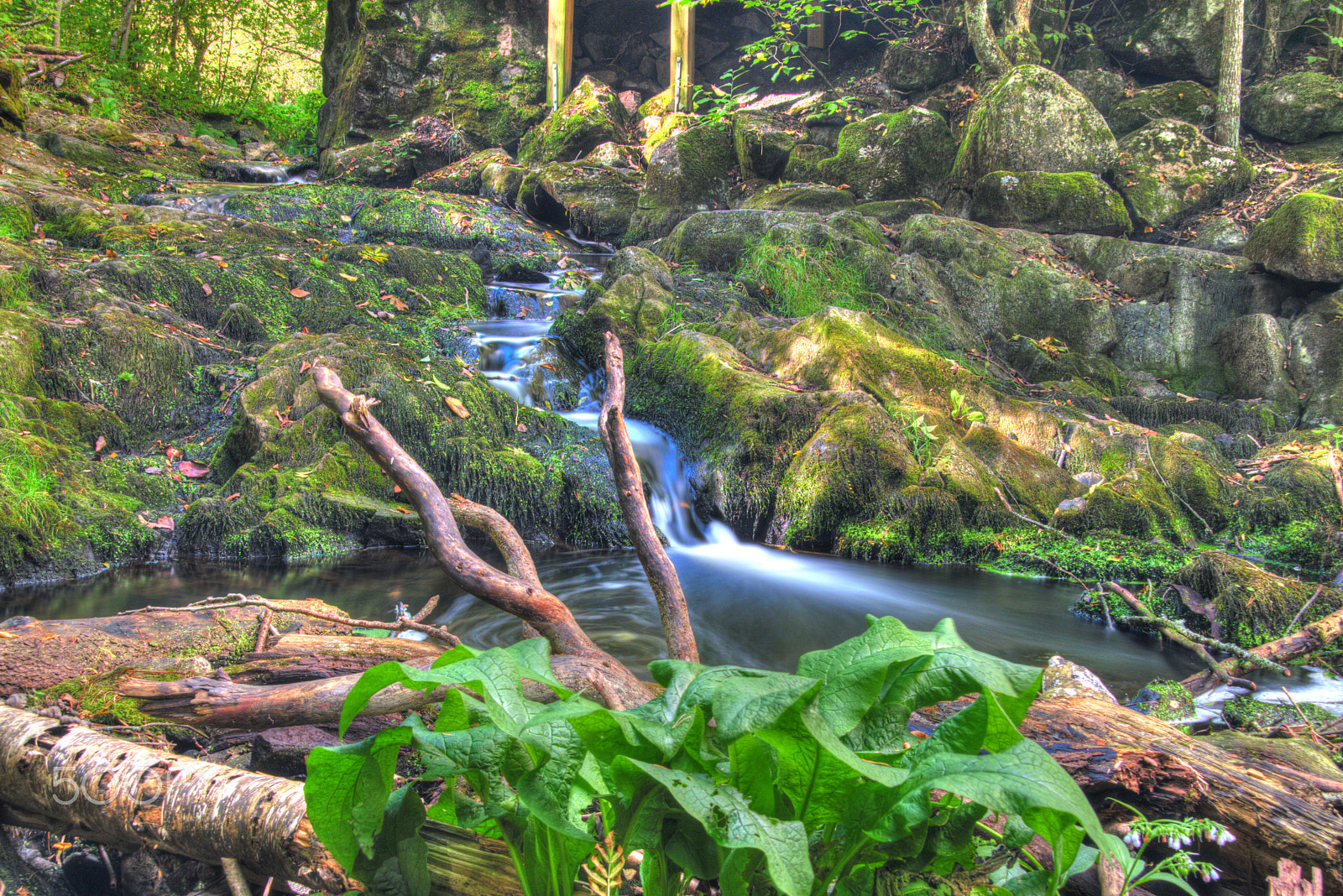 Sigma 18-200mm F3.5-6.3 DC OS HSM sample photo. Water flow photography
