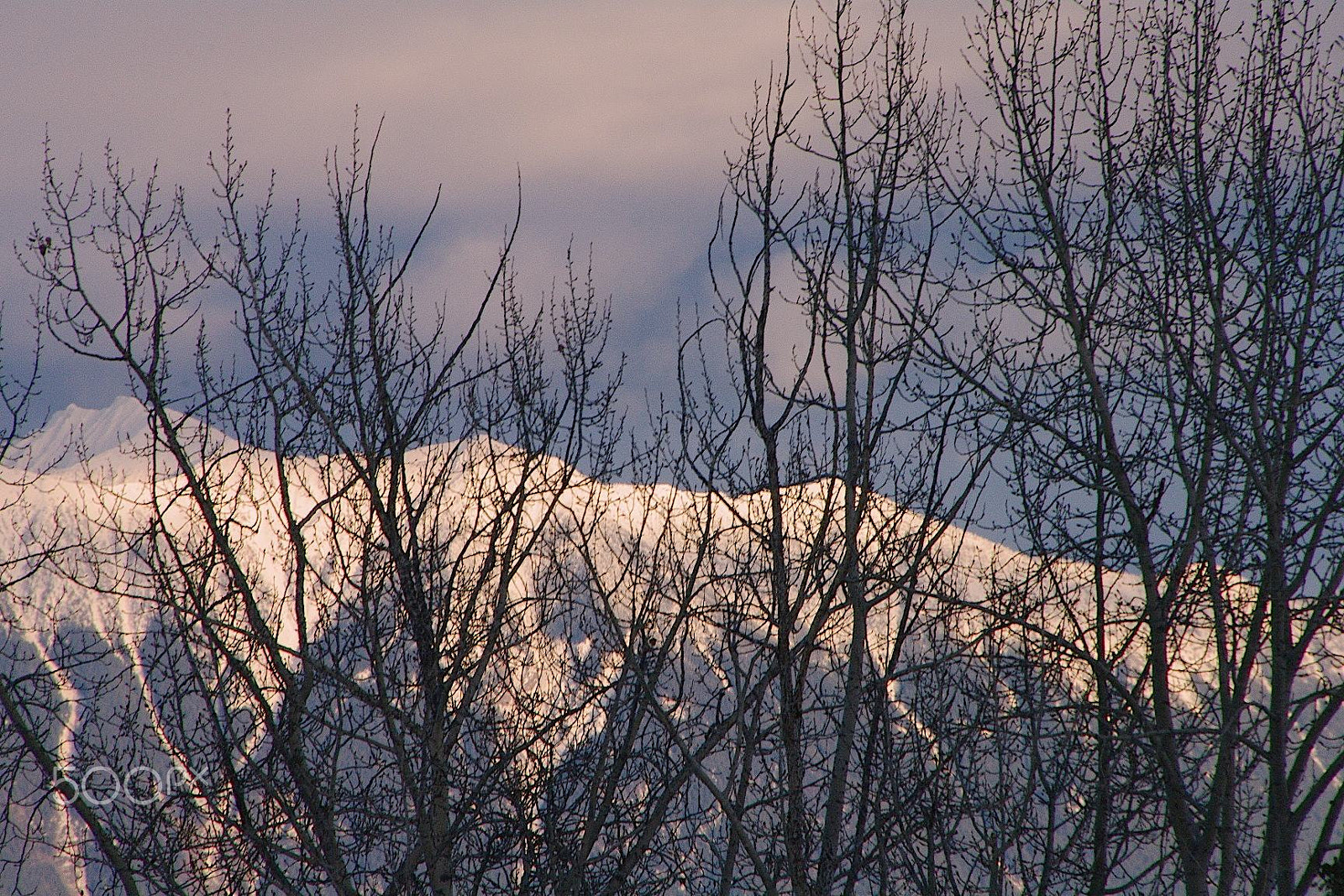 Pentax K-7 sample photo. Fresh snow no photography
