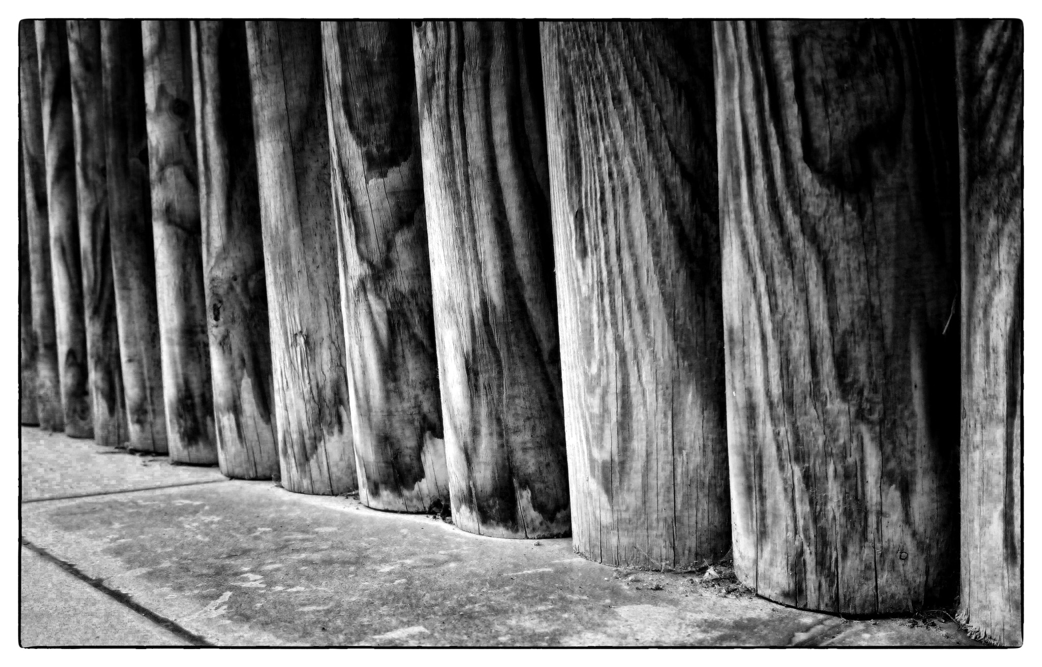 bq Aquaris E5 HD sample photo. Troncos de madera photography
