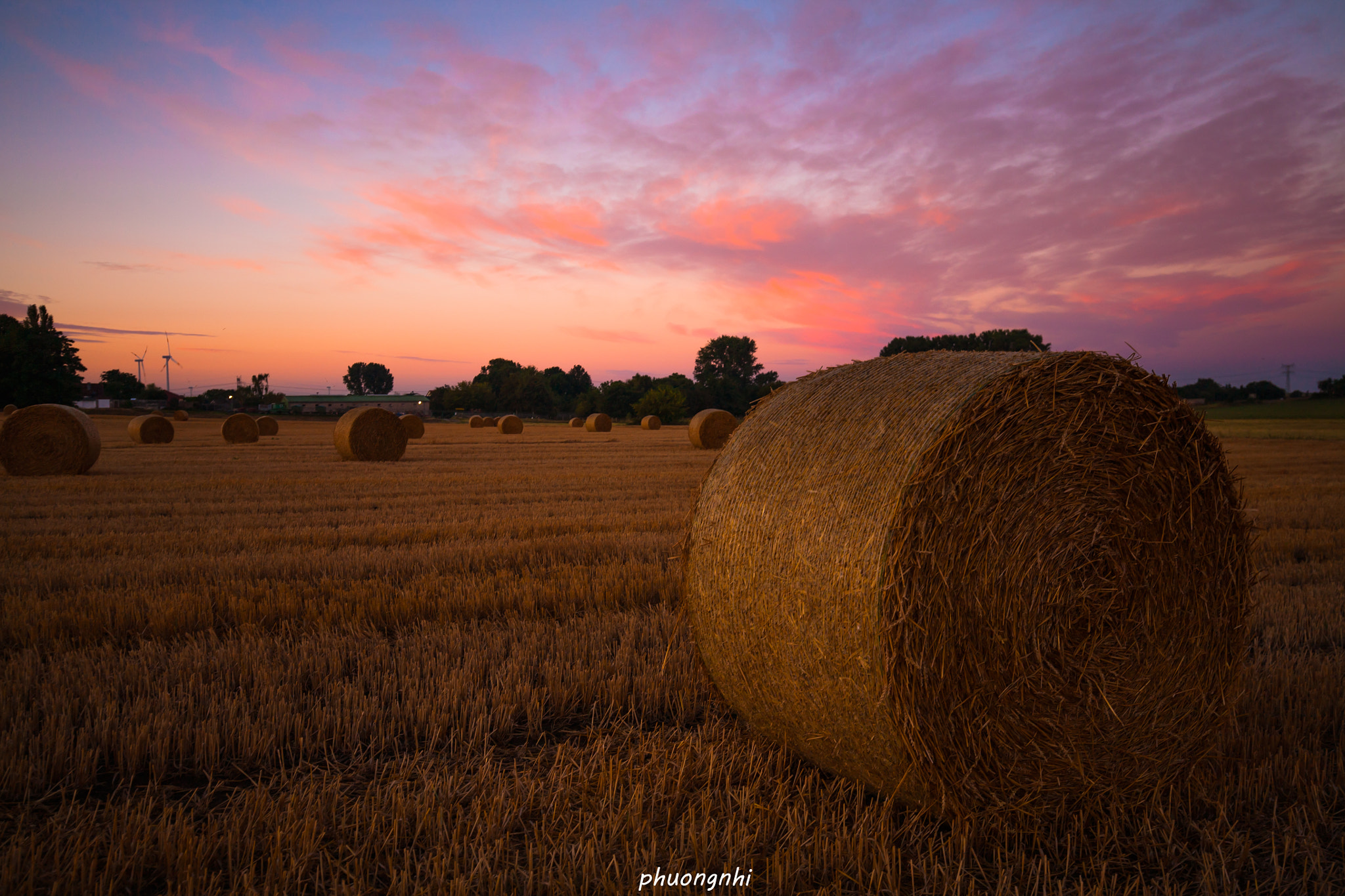 Canon EOS 5D sample photo. Re photography