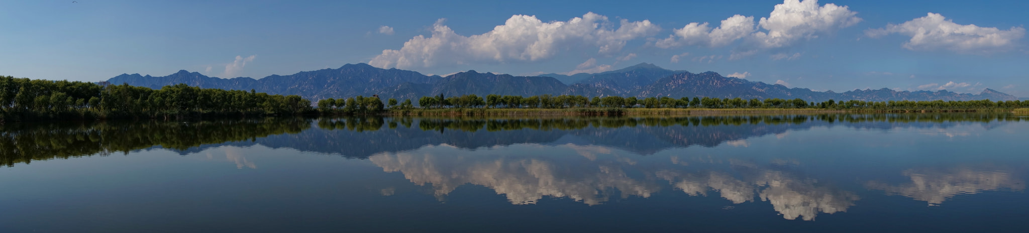 Sony Alpha NEX-5T + Sigma 19mm F2.8 EX DN sample photo. Beijing wild duck lake national wetland park photography