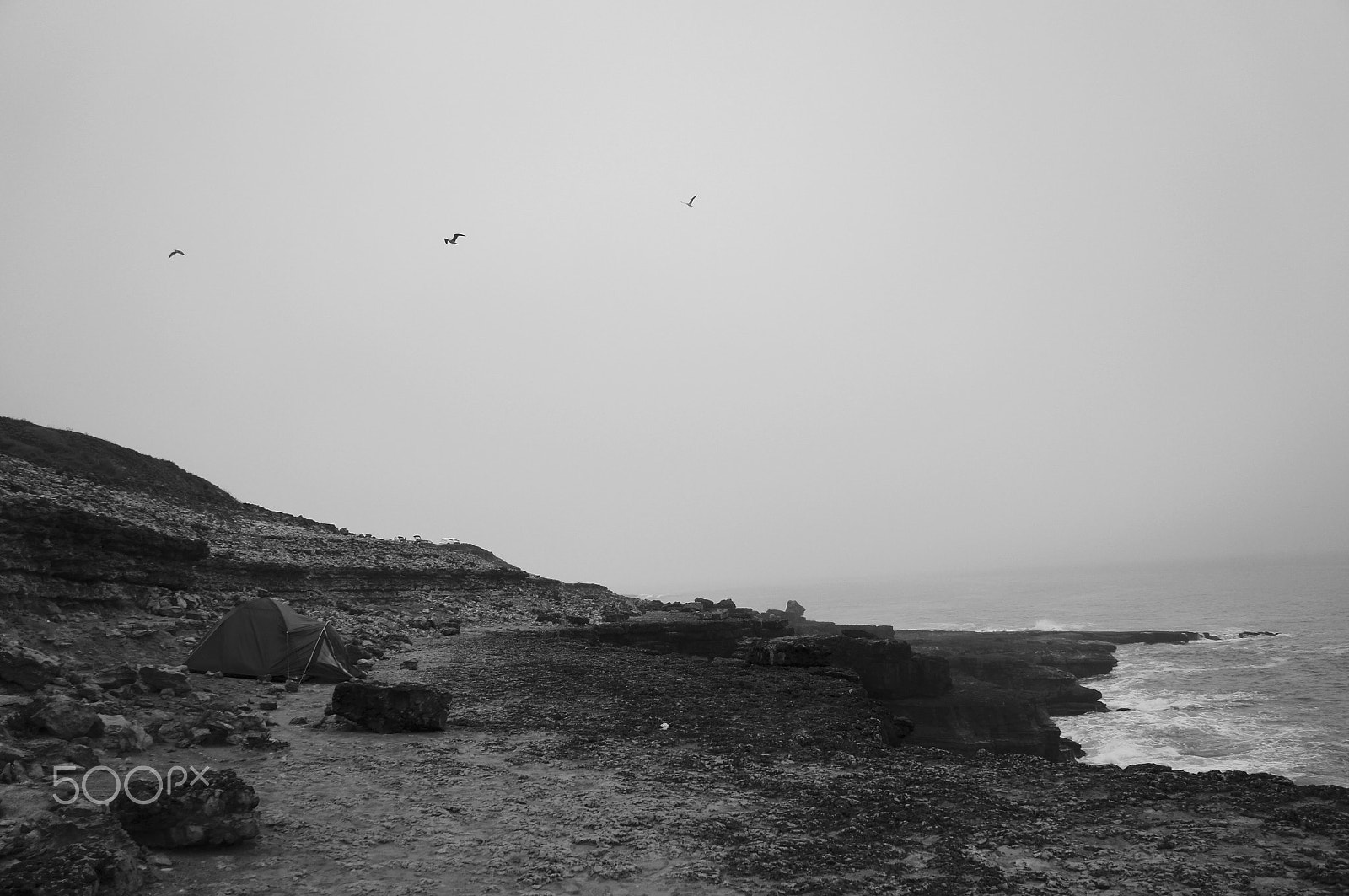 Tamron 18-200mm F3.5-6.3 Di III VC sample photo. Ericeira tent photography