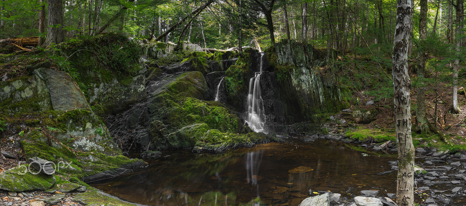 Canon EOS 750D (EOS Rebel T6i / EOS Kiss X8i) sample photo. Patty falls photography