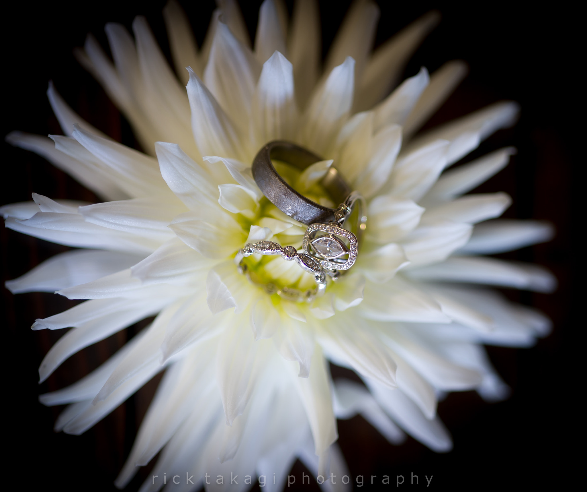 Nikon D3S sample photo. Wedding rings photography