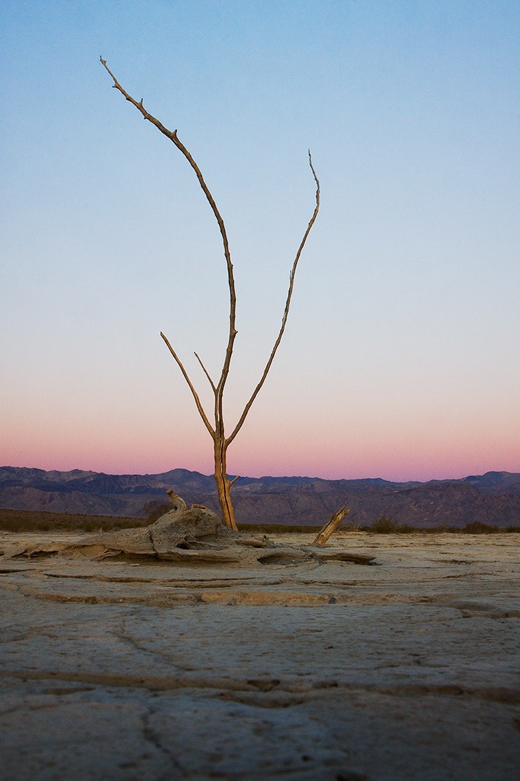 Canon EOS 50D + Canon EF 24-70mm F2.8L USM sample photo. Not only are the mudflats caught in time but so ar ... photography