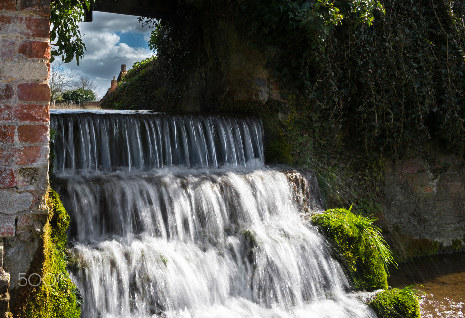 Nikon D4 sample photo. Multiple titles photography